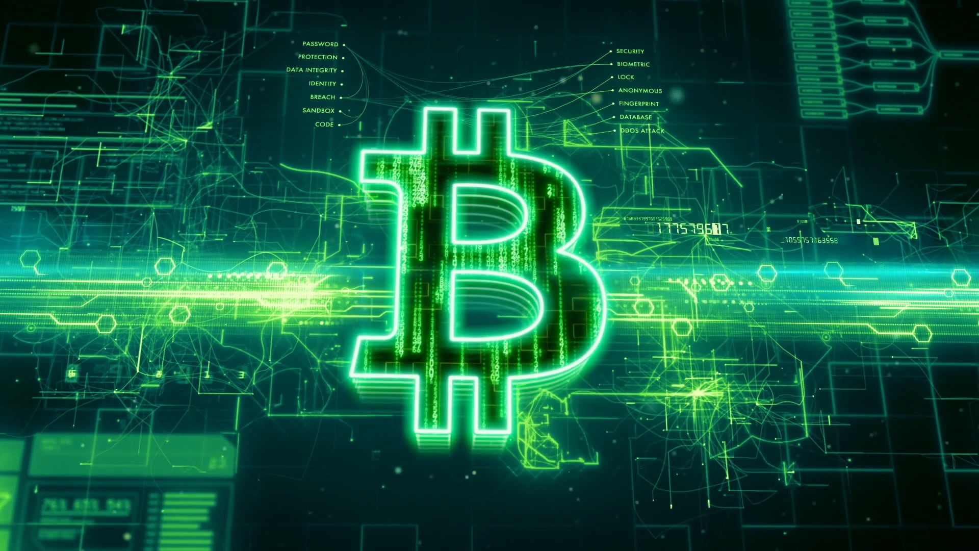 cryptocurrency, 1080P, numbers, technology, Bitcoin, HD Wallpaper