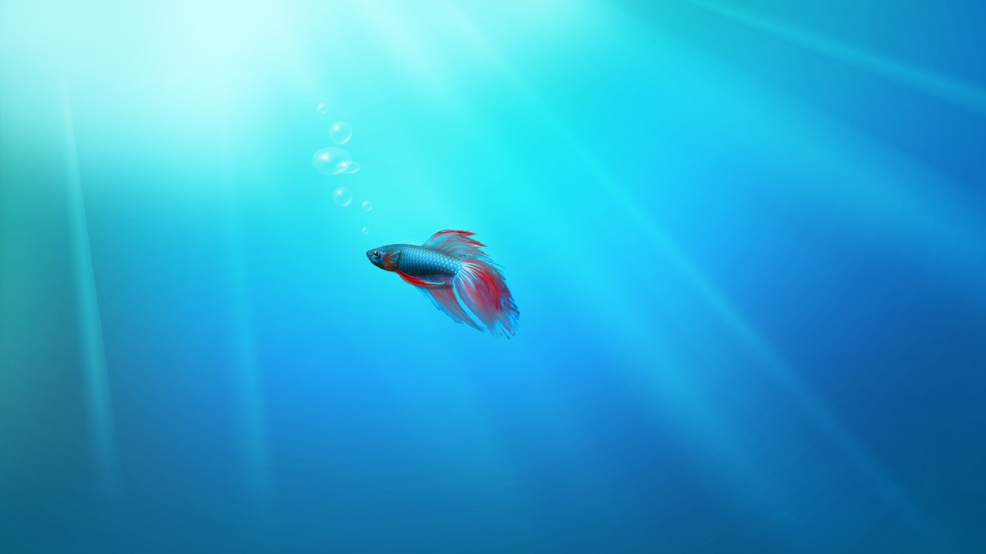 1080p, 1080P, graphics, windows, p, hdtv, 7, creative, creative and graphics, hd, HD Wallpaper