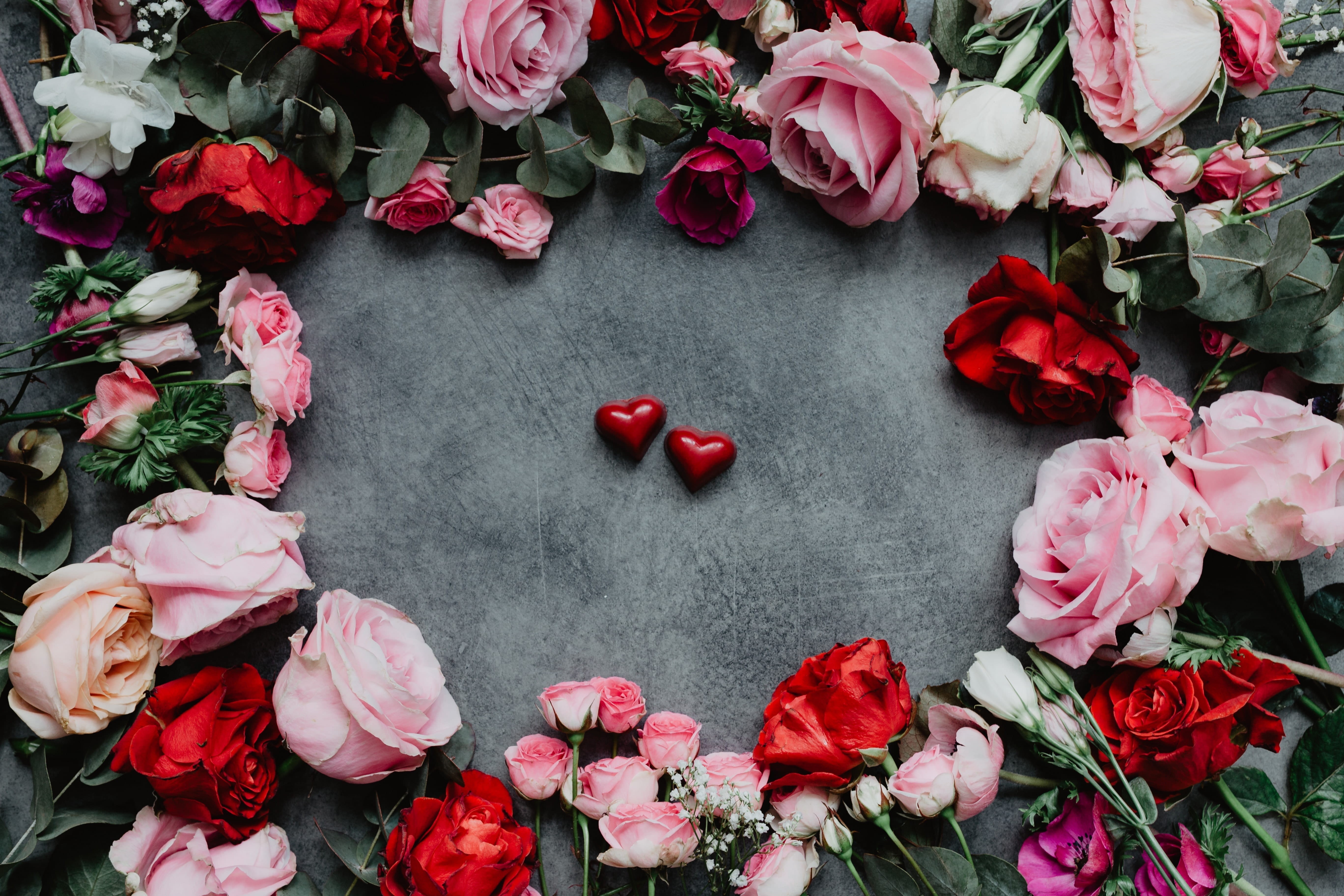 petal, nature, high angle view, plant part, 5K, close-up, red, leaf, pink color, flowers, flowering plant, inflorescence, fragility, bunch of flowers, HD Wallpaper