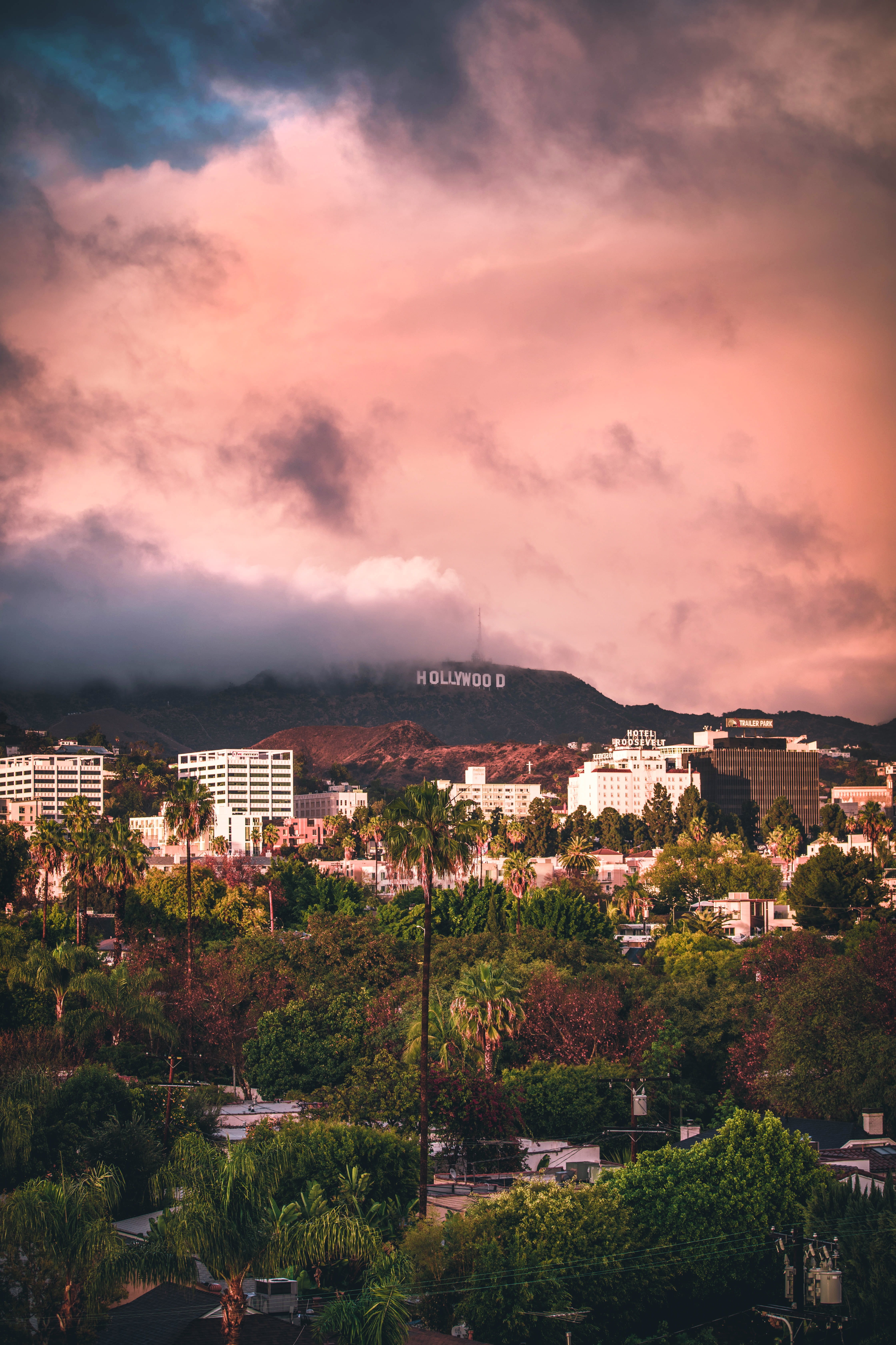 nature, los, tree, cloud - sky, built structure, outdoors, town, townscape, landscape, building exterior, sunset, building, sky, plant, mountain, angeles, Phone HD Wallpaper