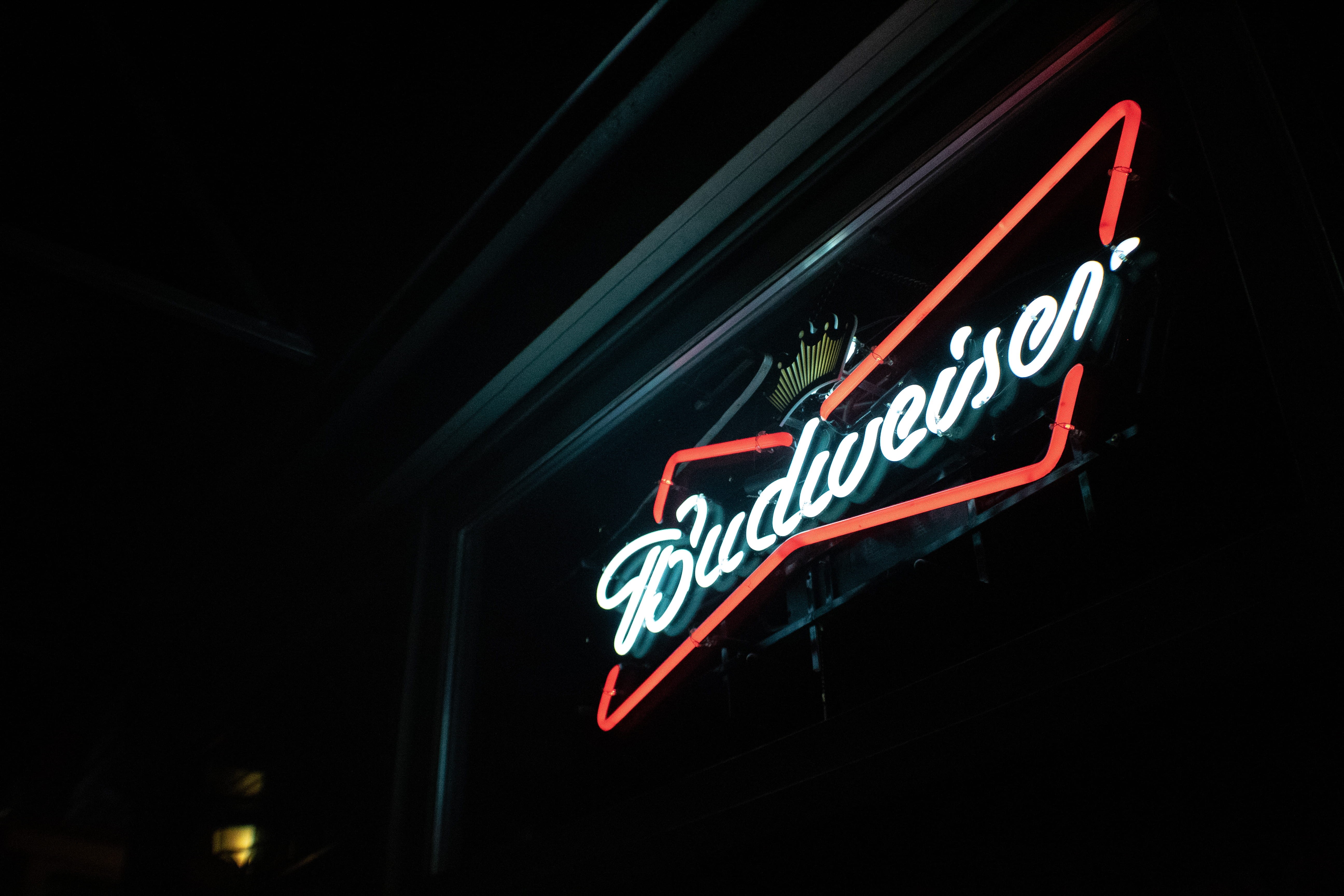 nightlife, apparel, black background, animal, information sign, bar, hawk, night, coat, bird, city, commercial sign, low angle view, store, budweiser, sign, HD Wallpaper