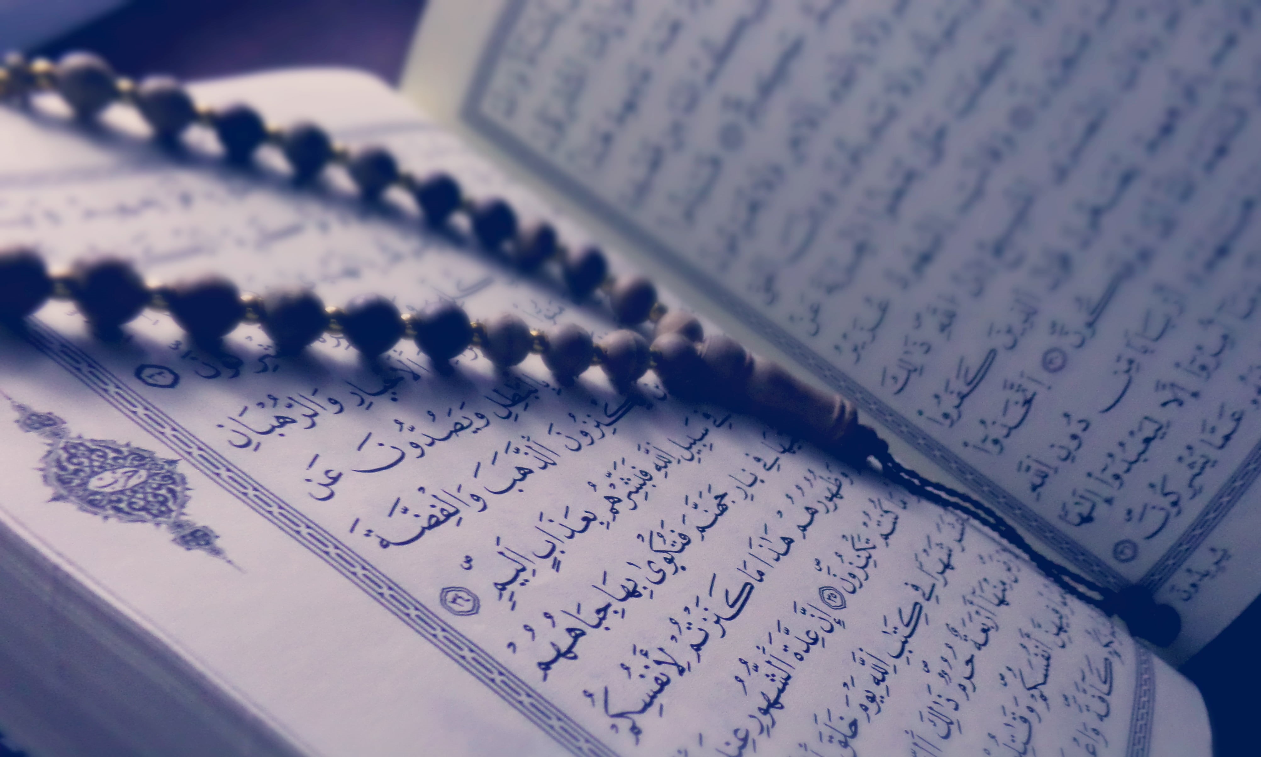 page, open, message, script, publication, information, still life, paper, education, document, text, writing, non-western script, word of god, handwriting, HD Wallpaper