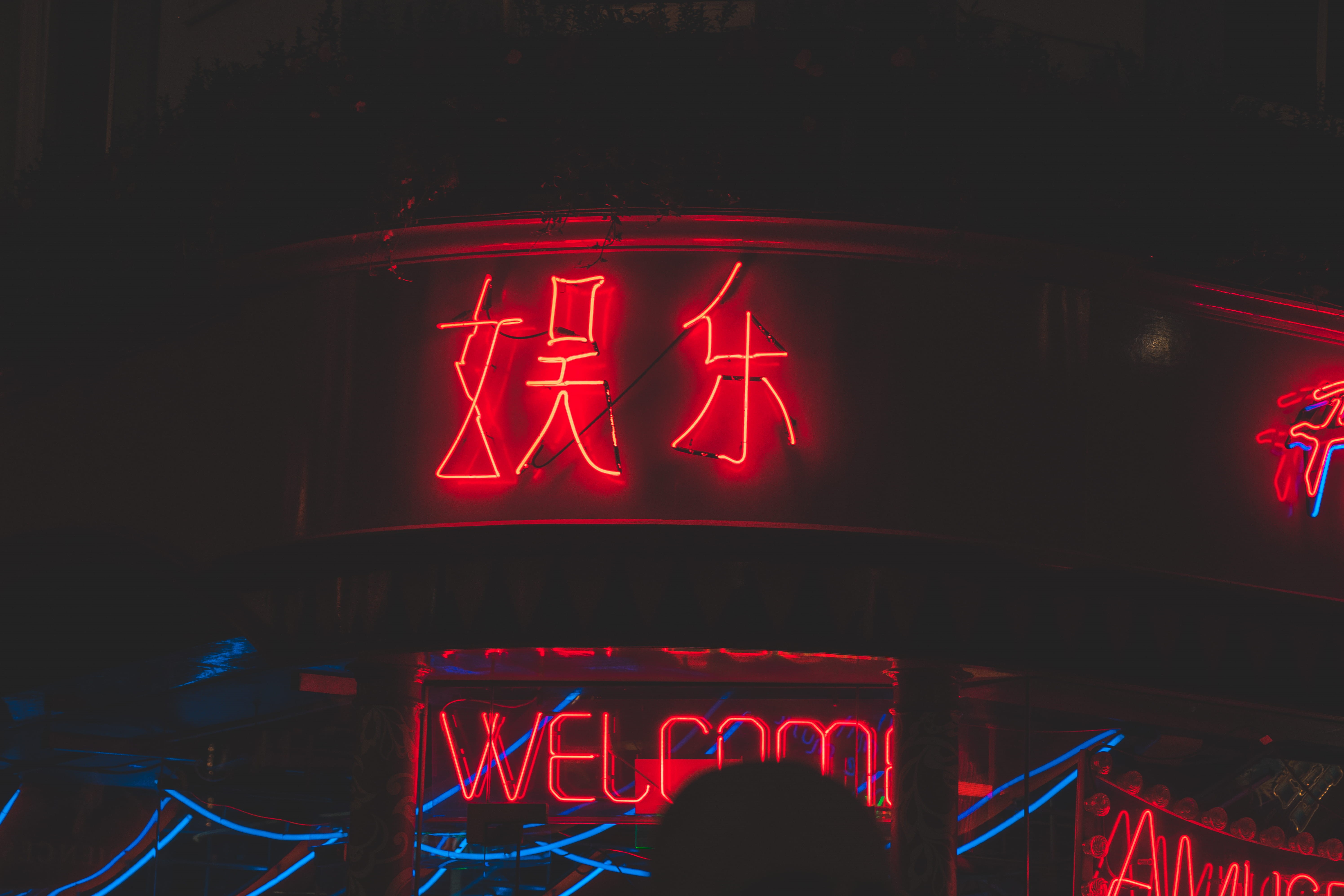 flare, commercial sign, western script, close-up, human, 5K, city, urban, illuminated, lighting equipment, sign, information, board, night, alphabet, town, HD Wallpaper