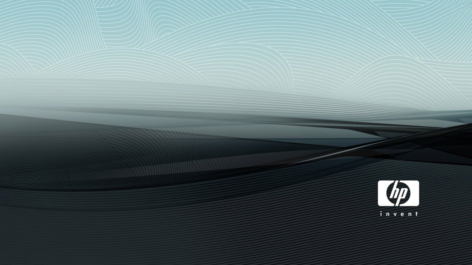 1080P, packard, hewlett, computer, logo, HD Wallpaper