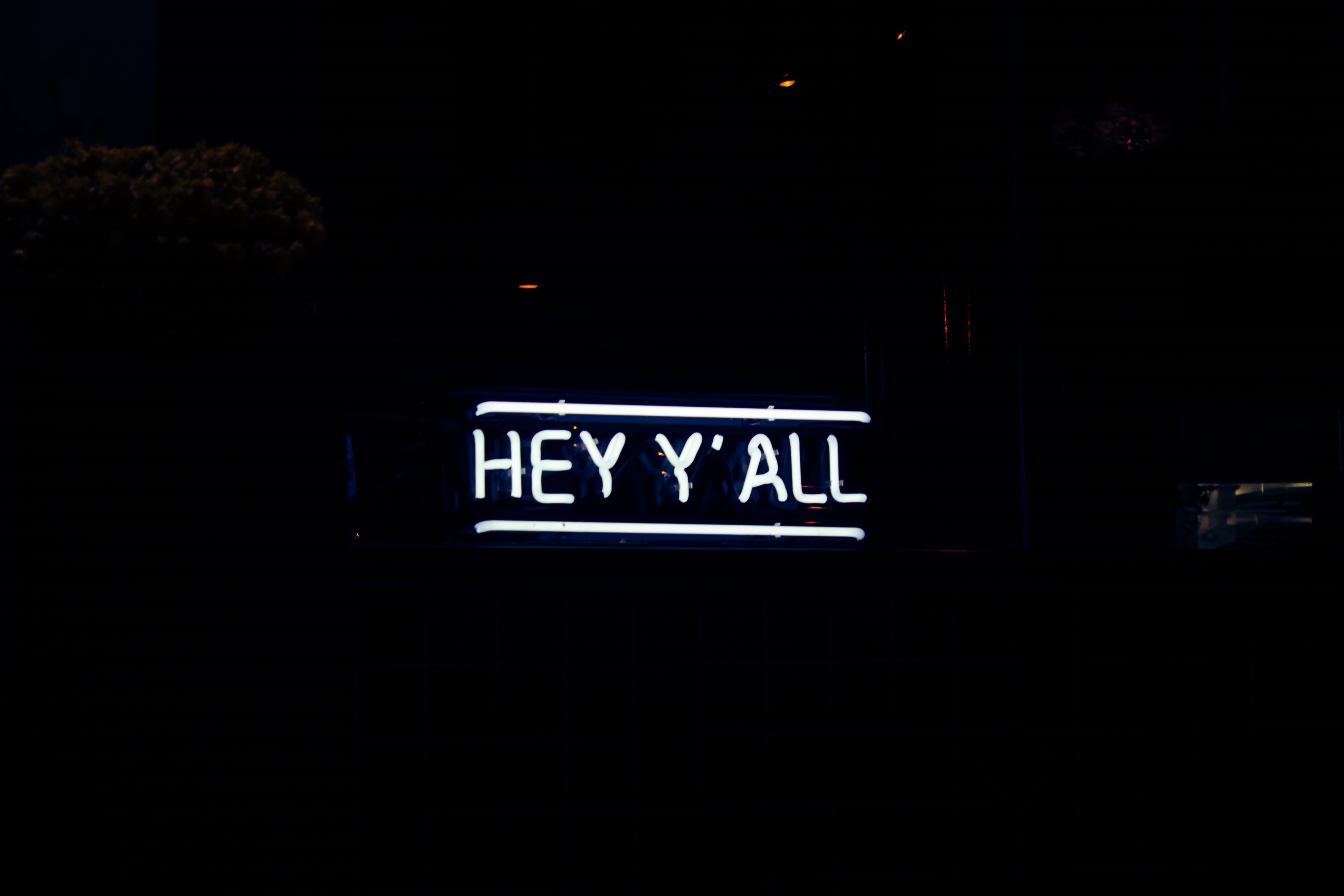 cleveland, tree, sign, information, indoors, white, illuminated, soho chicken + whiskey, electronics, y, single word, symbol, evening dress, plant, urban, HD Wallpaper
