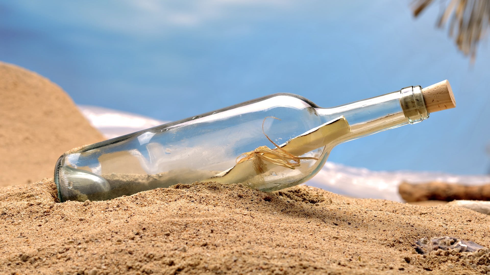 1080P, land, cork - stopper, water, no people, container, beach, message, bottle, sand, sky, sunlight, bottles, outdoors, pollution, transparent, food and drink, HD Wallpaper