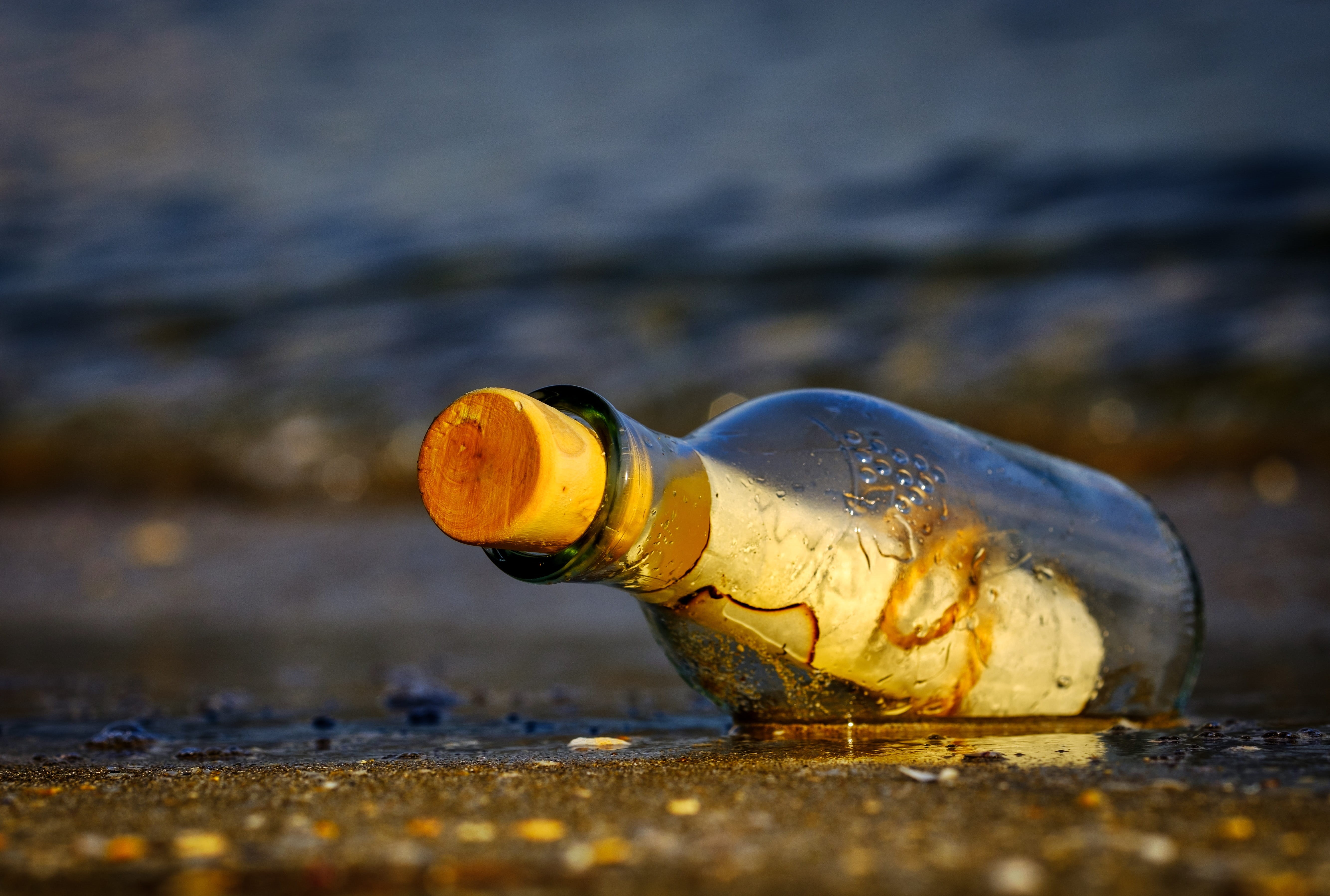 melting, cork, water, single object, close-up, abandoned, glass, animal wildlife, selective focus, animal, day, outdoors, surface level, water pollution, HD Wallpaper
