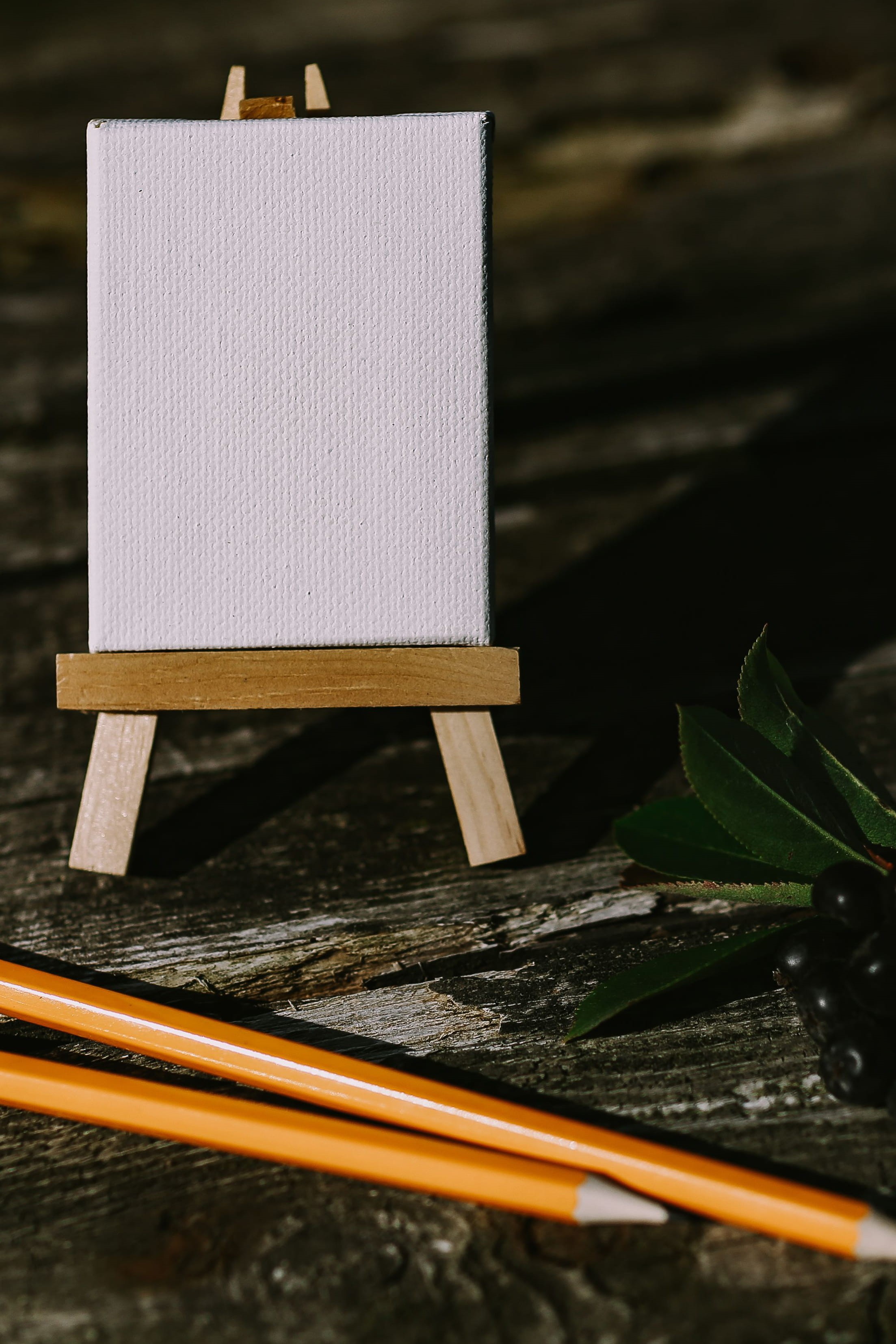 empty, white color, education, blueberries, leaf, backgrounds, close-up, copy Space, focus on foreground, pencils, nature, open space, flowers, mockup, Phone HD Wallpaper