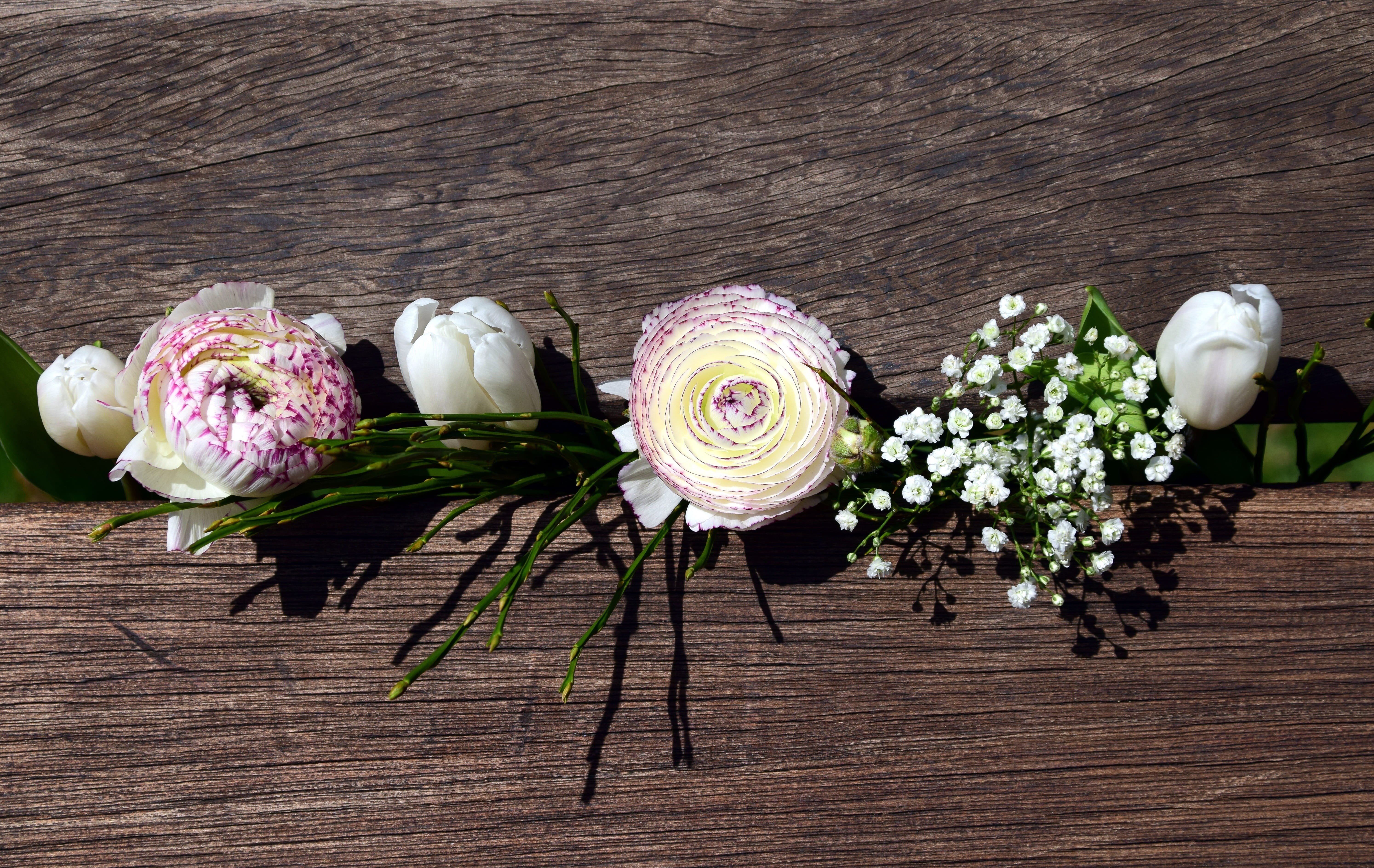 beautiful, beauty in nature, table, high angle view, studio shot, plant, purple, wood - material, fragility, vegetable, still life, spring, crate, bank, HD Wallpaper