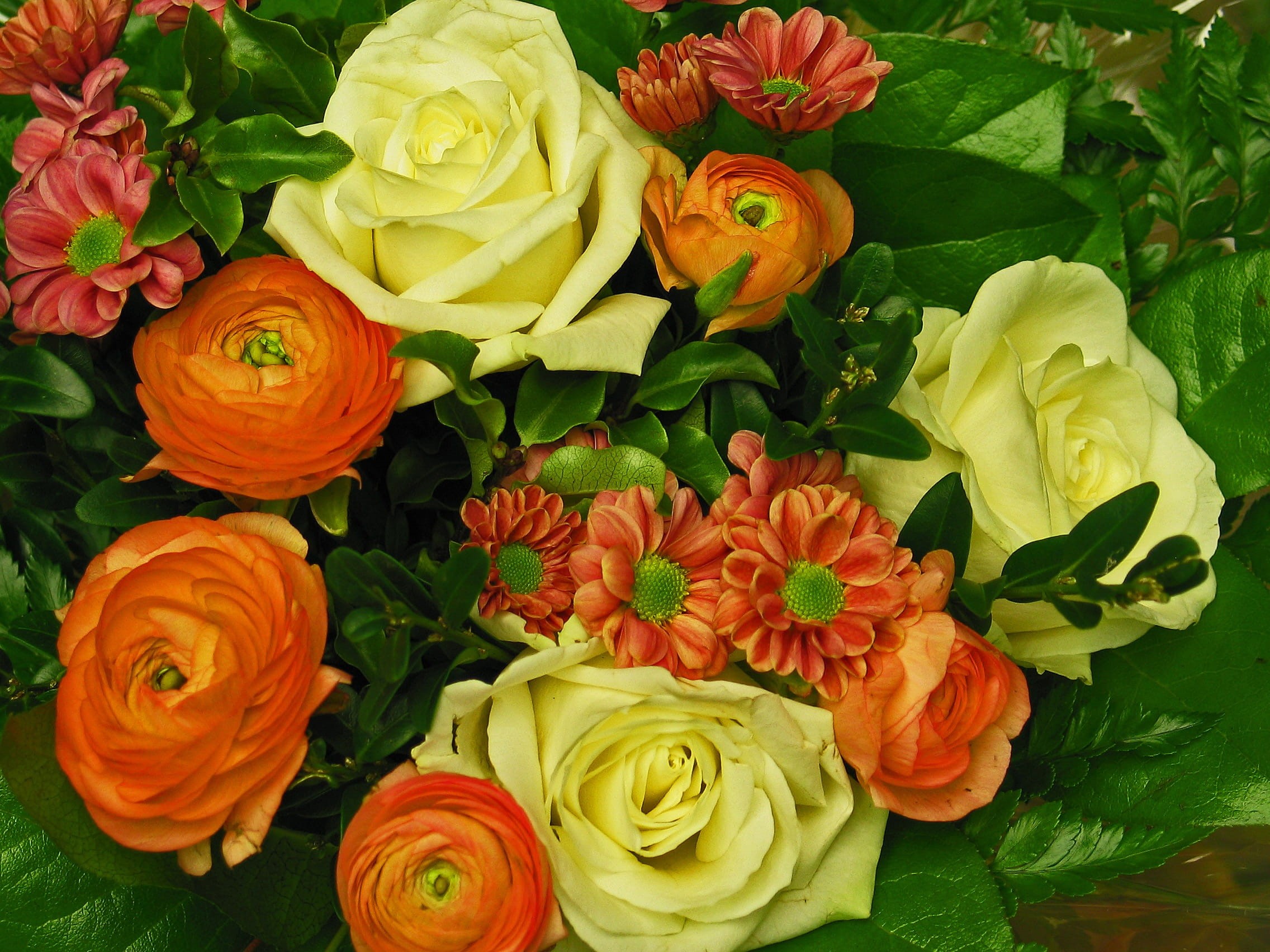 friendship, beauty in nature, high angle view, plant, birthday bouquet, freshness, excuse me, valentines day, 1080P, no people, outdoors, fragility, tulips, HD Wallpaper
