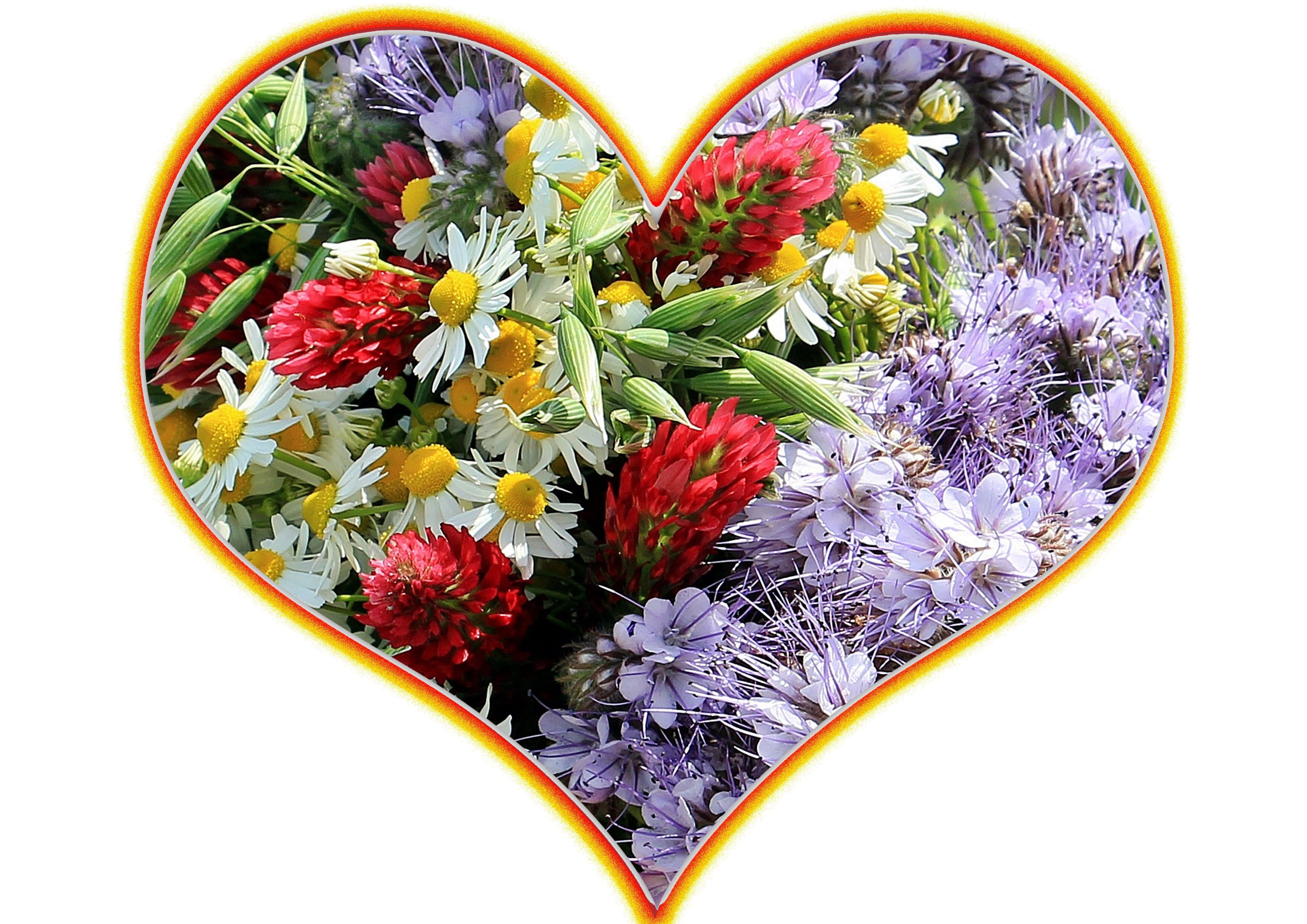 bunch of flowers, nature, flowers, Flower, multi colored, creativity, heart Shape, beauty in nature, indoors, plant, birthday card, greeting card, mothers day, HD Wallpaper