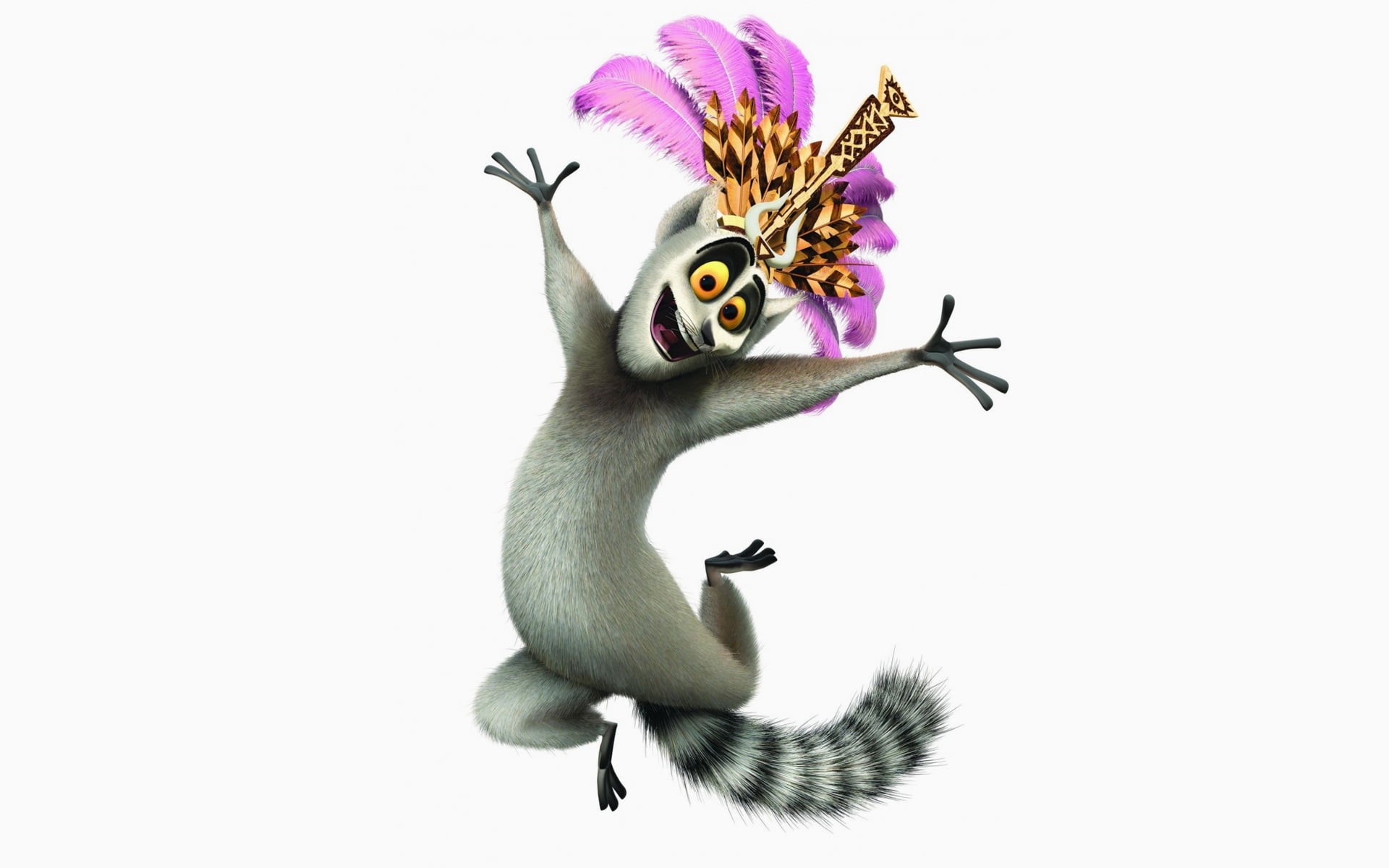 one animal, the king of the lemurs, beauty in nature, close-up, single Flower, animal wildlife, white Background, animal, studio shot, animal representation, HD Wallpaper