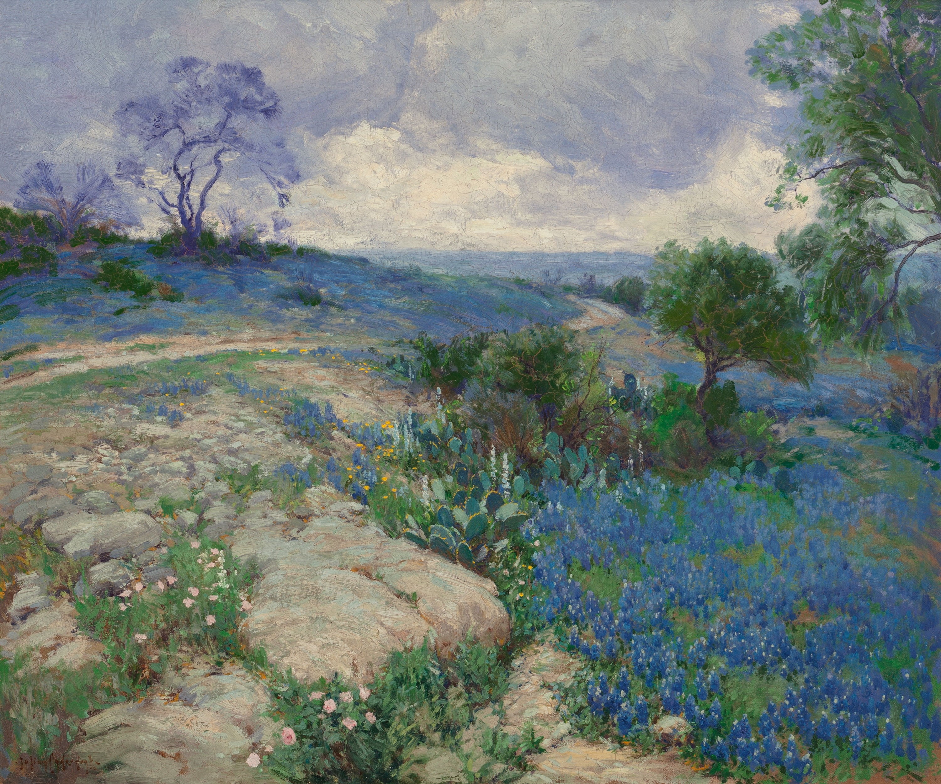 land, growth, cloud - sky, tranquility, scenics - nature, outdoors, high angle view, 2K, plant, landscape, no people, day, sky, classic art, Julian Onderdonk, HD Wallpaper
