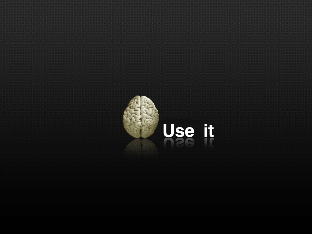brain, art, entertainment, hd, 720P, funny, x, HD Wallpaper