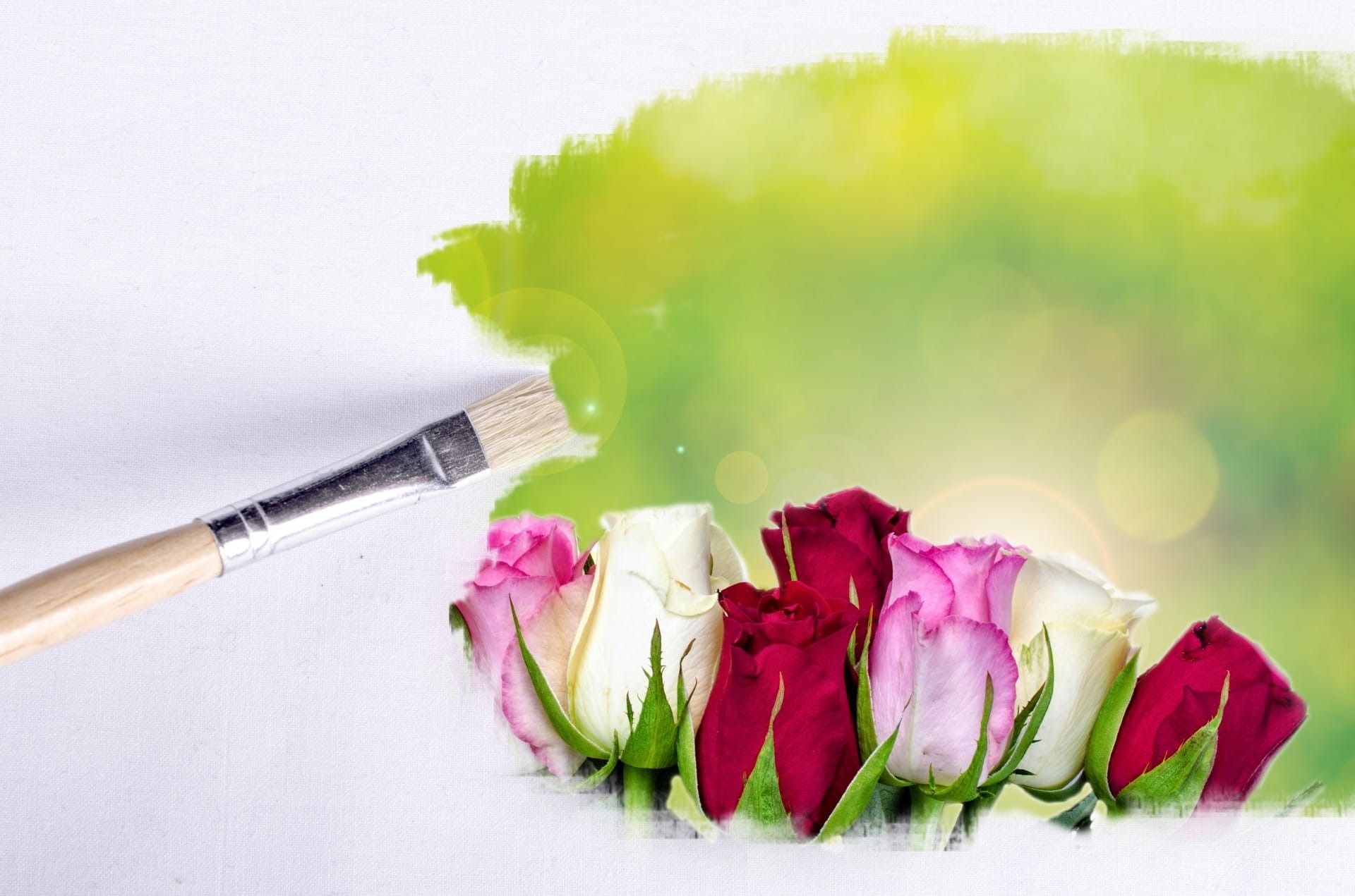 flowers, summer, pink color, table knife, red, pink, painting, inflorescence, vulnerability, flower head, dom, 1080P, flower, indoors, idea, yellow, spring, HD Wallpaper