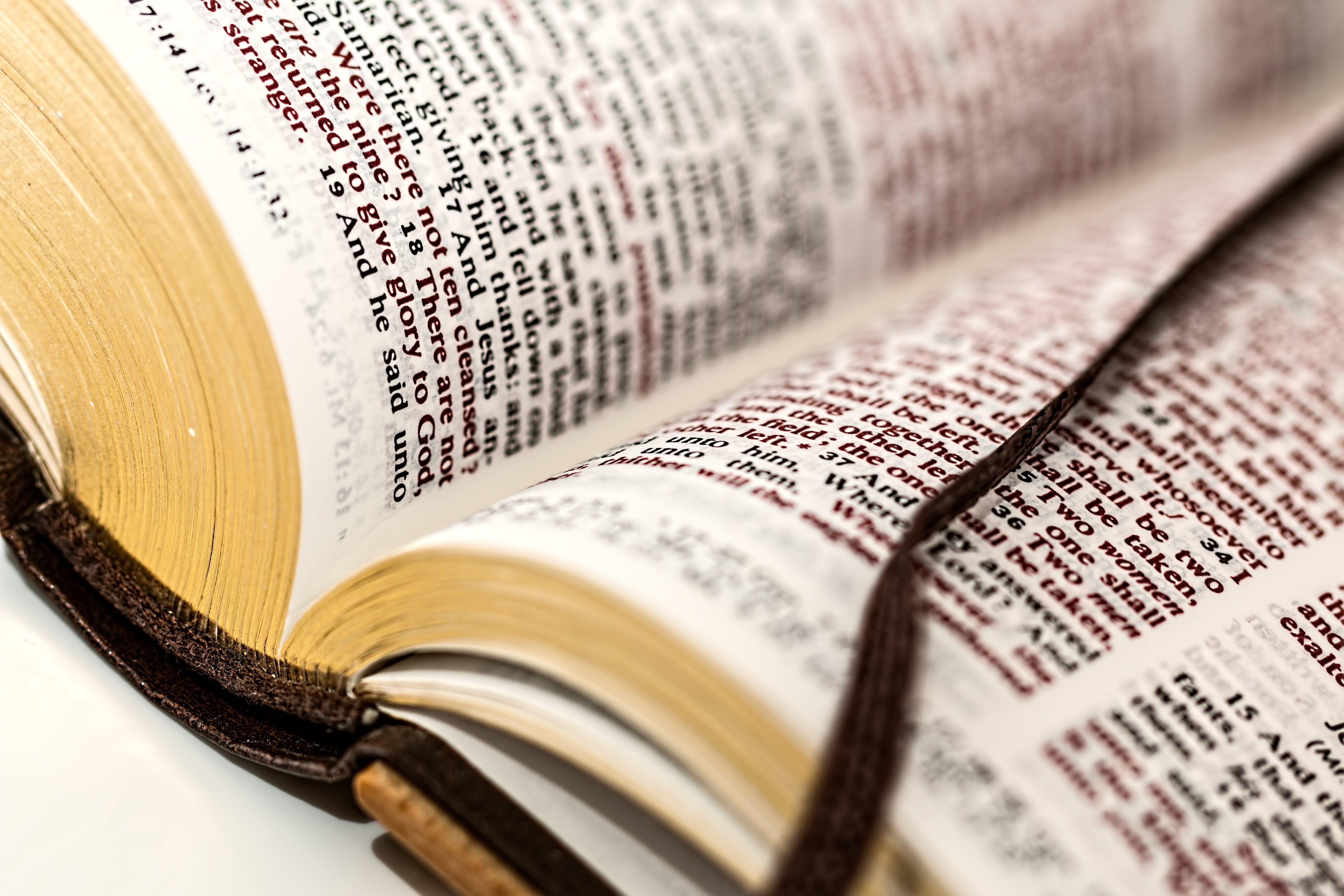 pray, education, spirituality, learning, faith, open book, still life, paper, studio shot, good book, god, book, newspaper, scripture, open, bible, hope, HD Wallpaper
