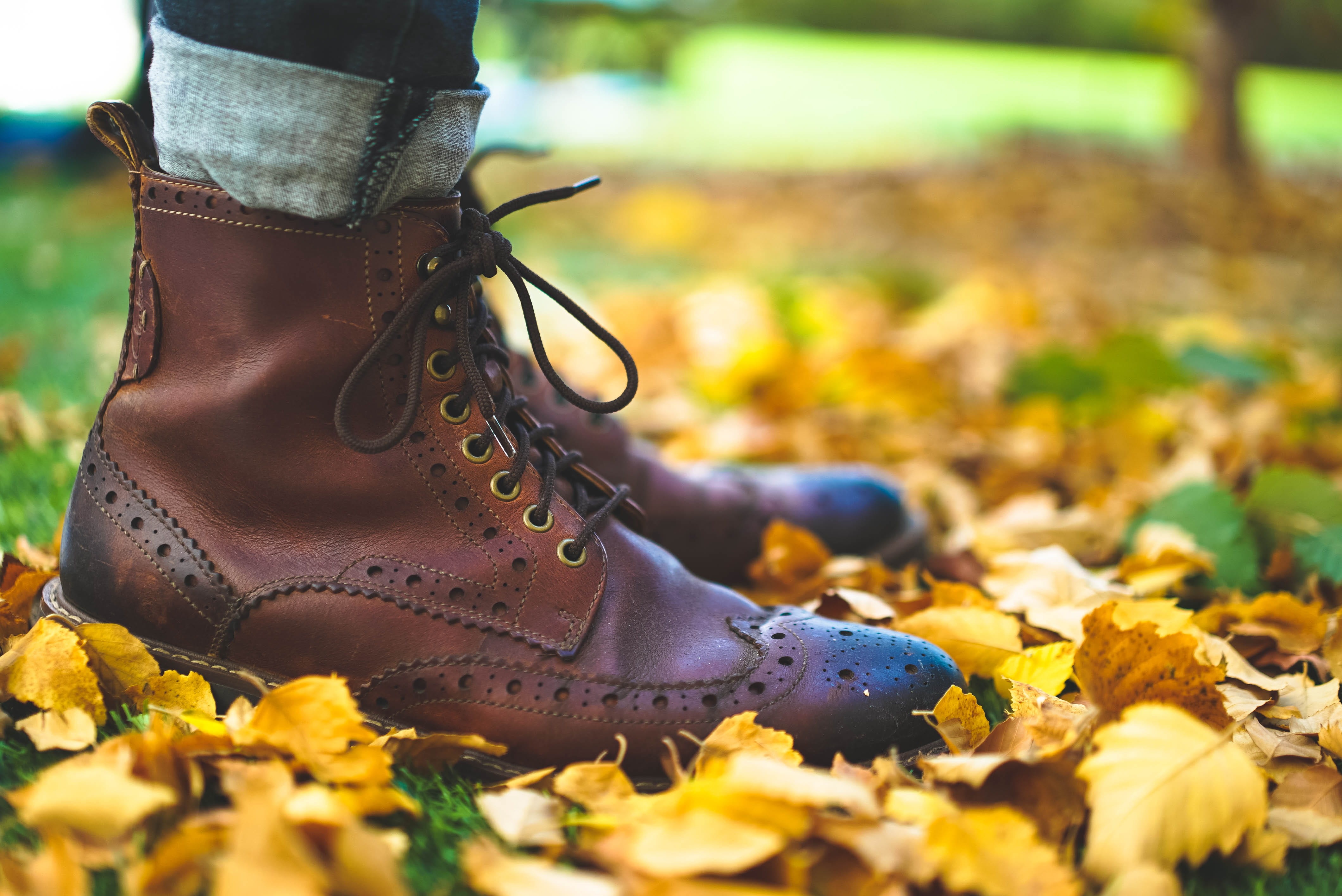 park, wearing, close-up, photo, person, leaf, close, human body part, lace, outdoors, dry, selective focus, human leg, leafe, leatger, one person, fall, HD Wallpaper