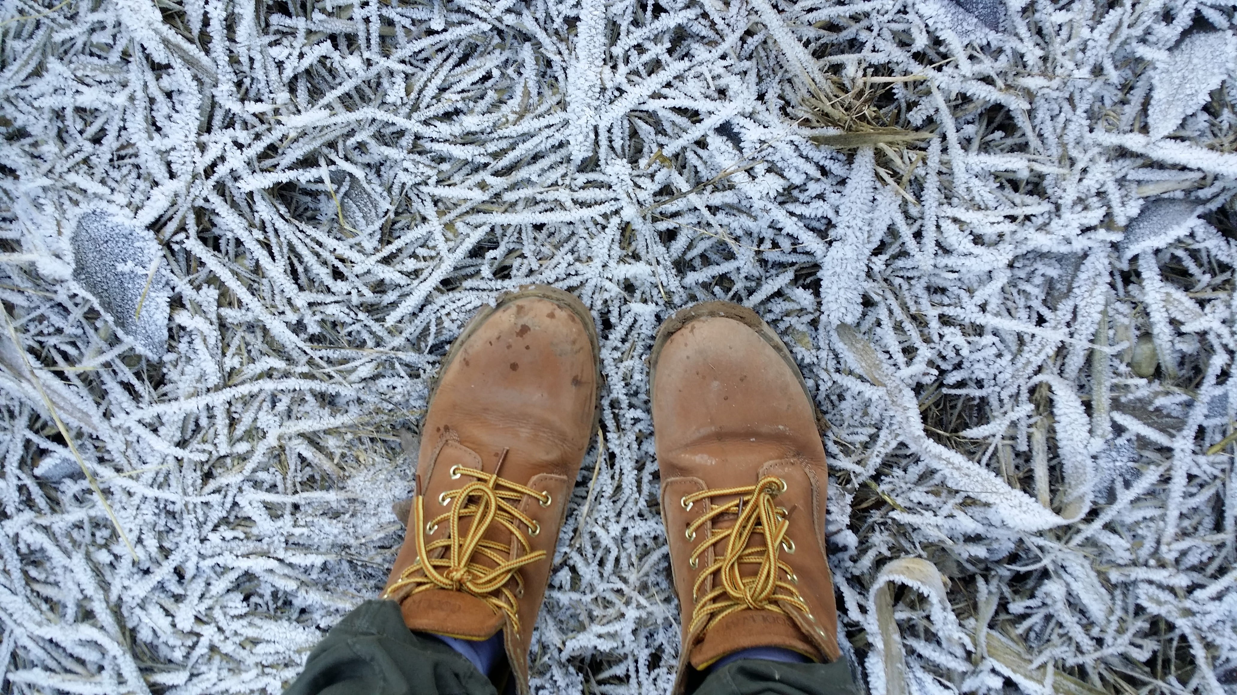 ice, wearing, directly above, brown, footwear, leather, real people, outdoors, human body part, snow, human leg, boot, nature, lace, human foot, day, body part, HD Wallpaper