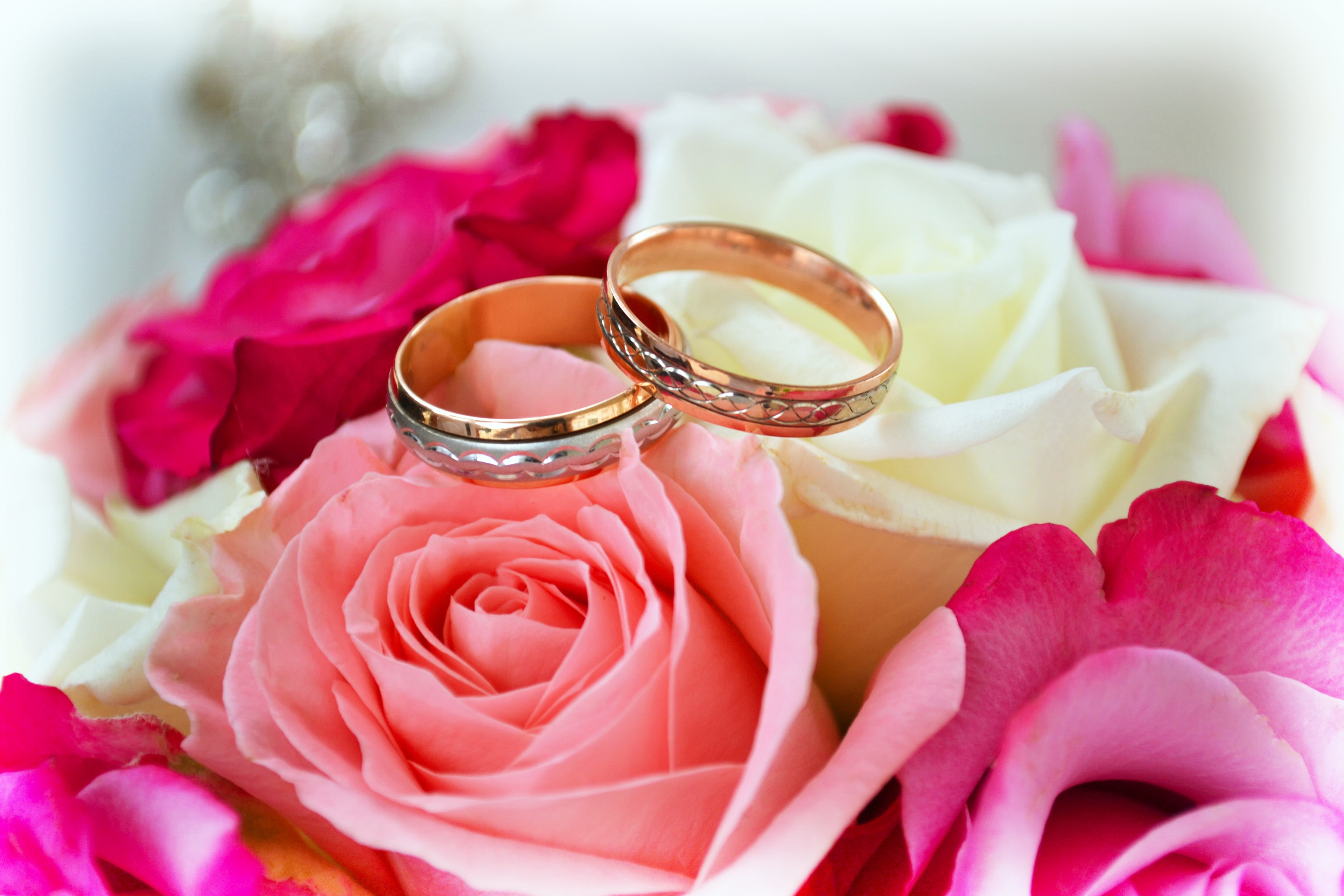 gold, diamond, no people, emotion, valentines Day - Holiday, red, bridal, ring, roses, honeymoon, romance, gift, decoration, wedding Ring, bouquet, petal, HD Wallpaper
