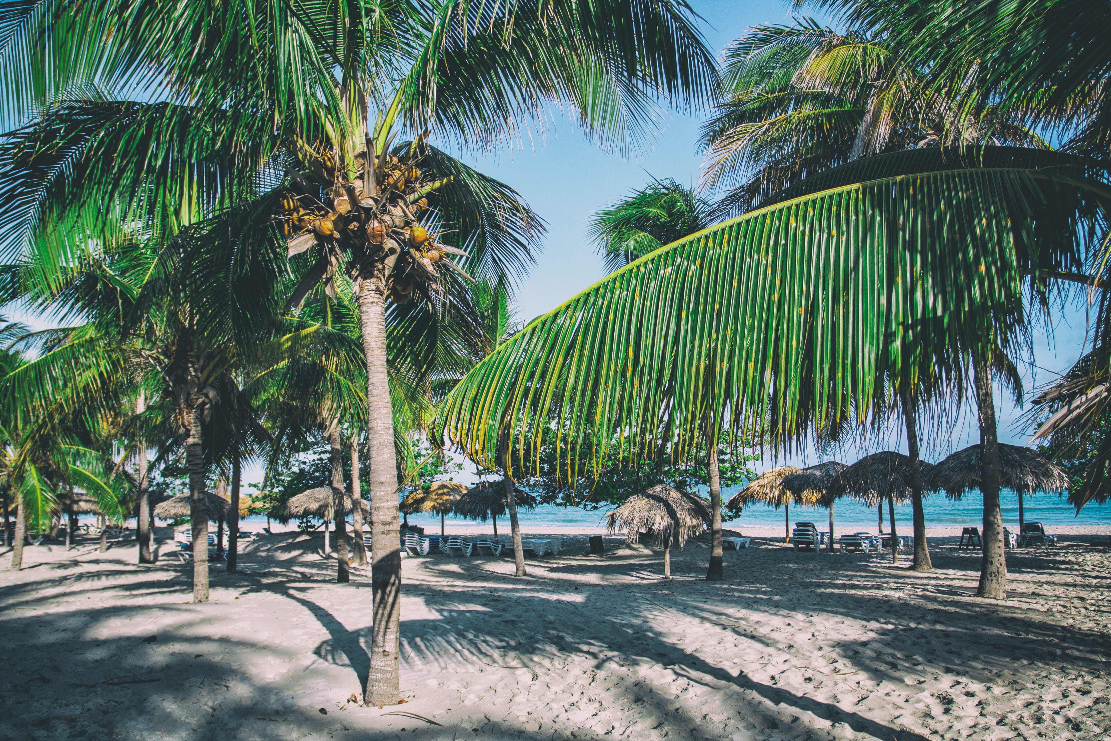 water, Varadero, varadero, no People, sunlight, tropical Climate, blue, perfect, idyllic, cuba, palm trees, caribbean, tranquil scene, day, travel, coastline, HD Wallpaper
