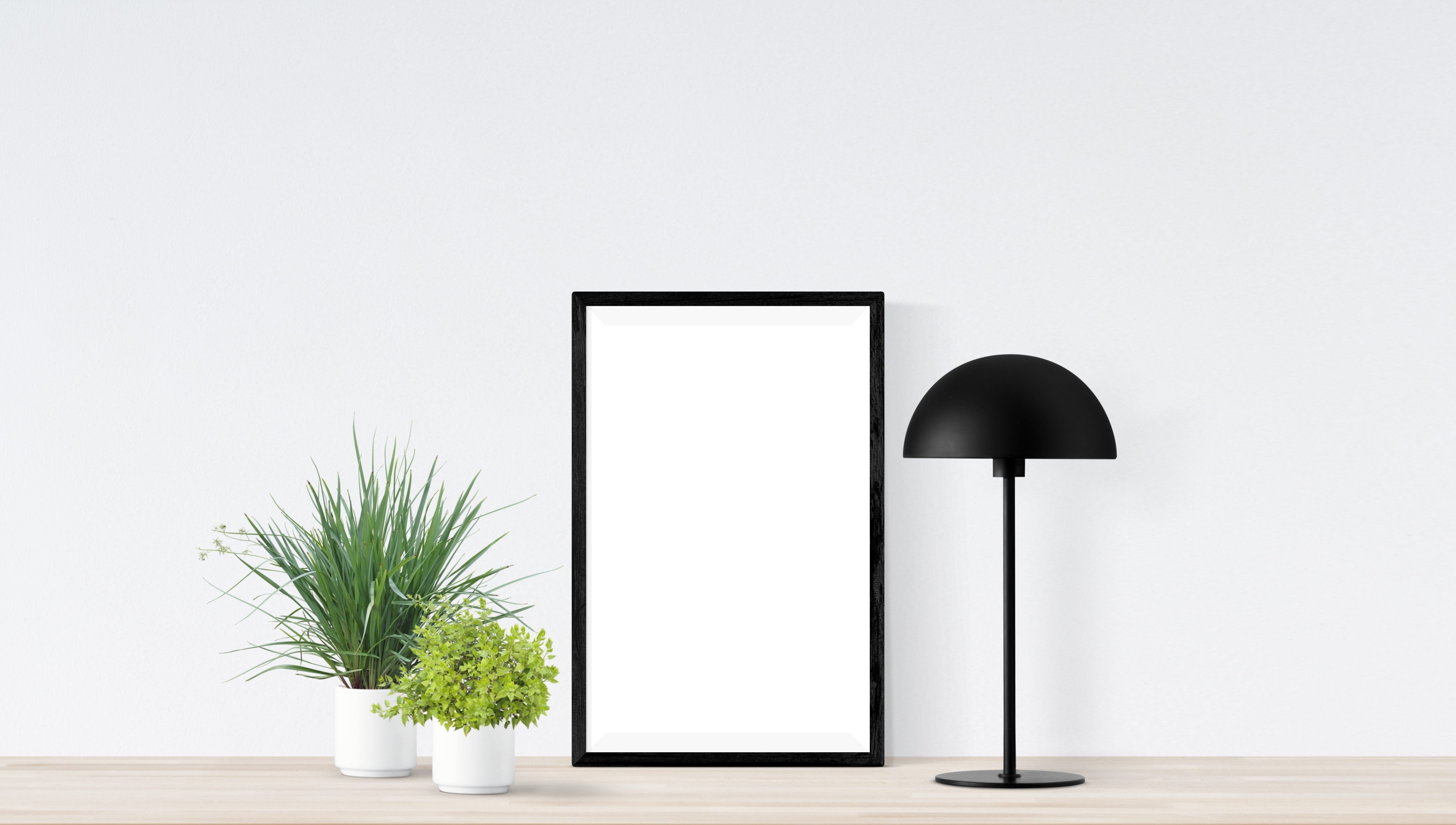 poster, realistic, white color, studio shot, 5K, plant, technology, modern, gallery, black color, white background, canvas, electric lamp, decoration, HD Wallpaper