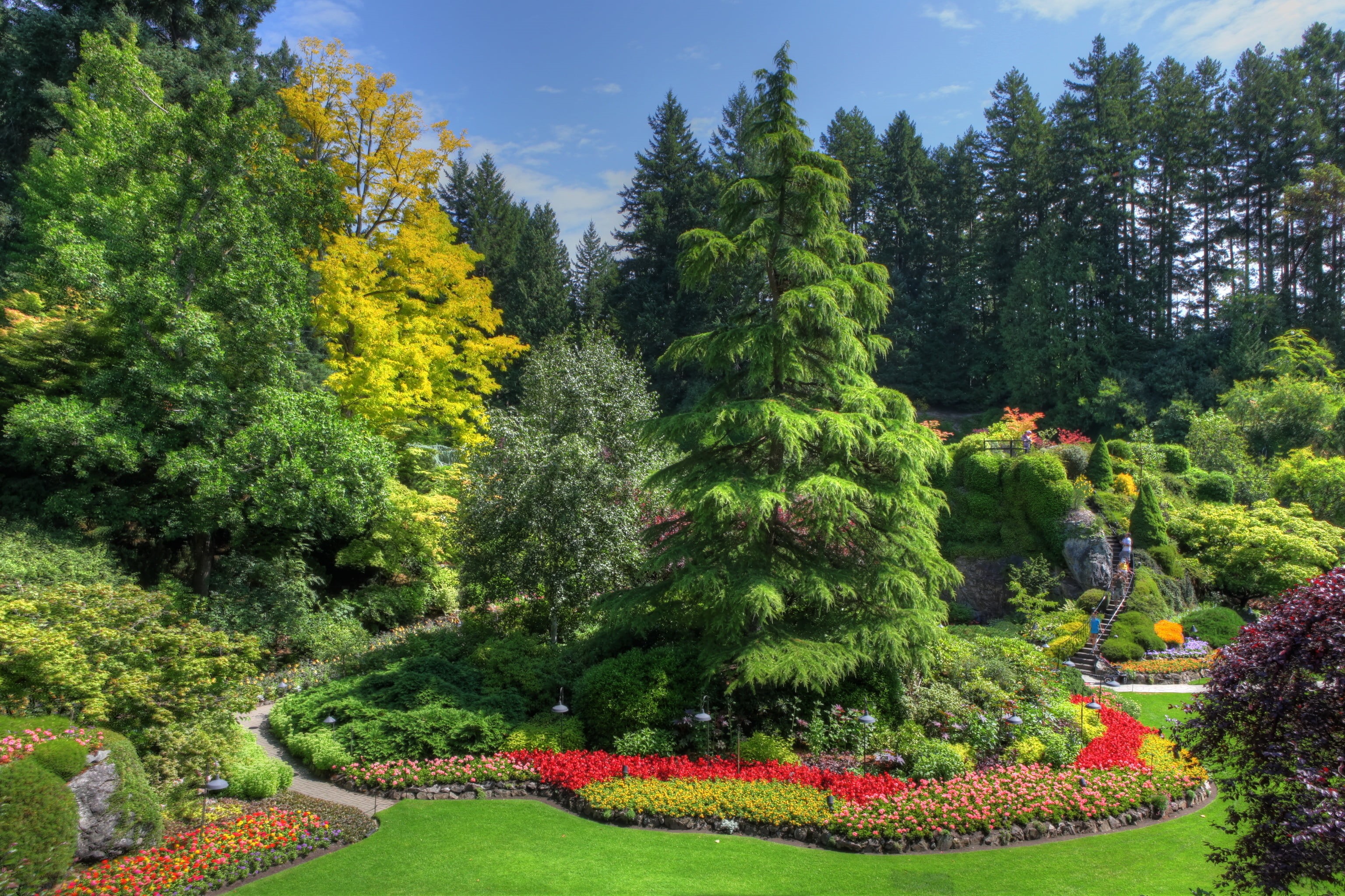 greens, ornamental garden, track, outdoors, sky, Victoria, garden, green, tree, beauty in nature, trees, the bushes, tress, flowerbed, Butchart Gardens, HD Wallpaper