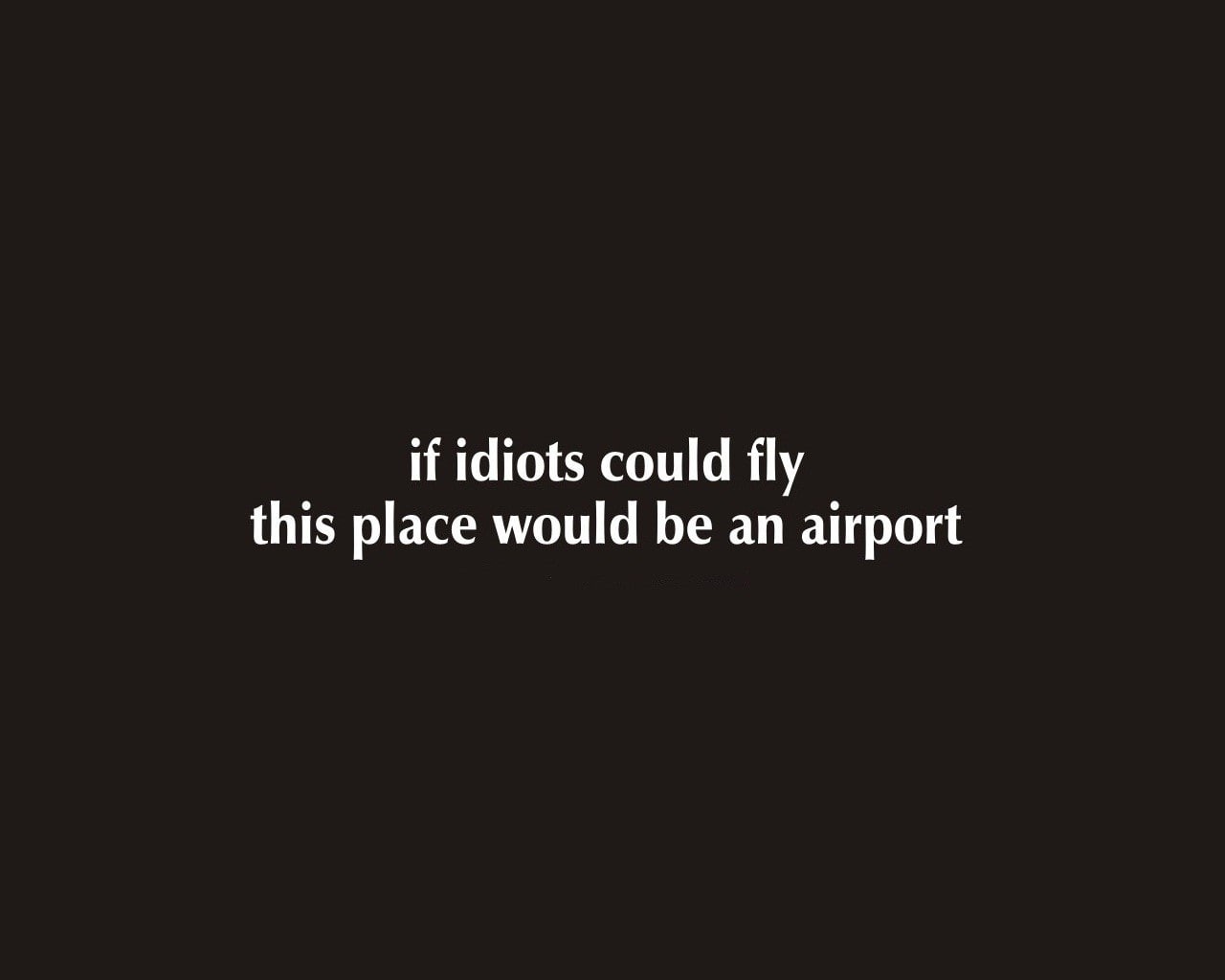 funny, text, hd, idiots, entertainment, art, x, fly, 720P, airports, HD Wallpaper