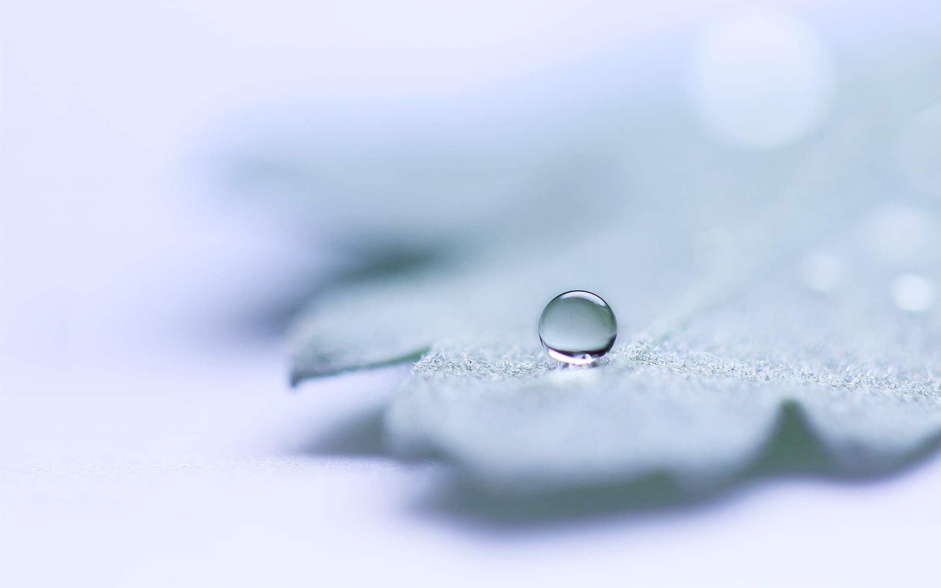 drop, clear, hd, let, macro, 1080P, blur, nature, water, HD Wallpaper