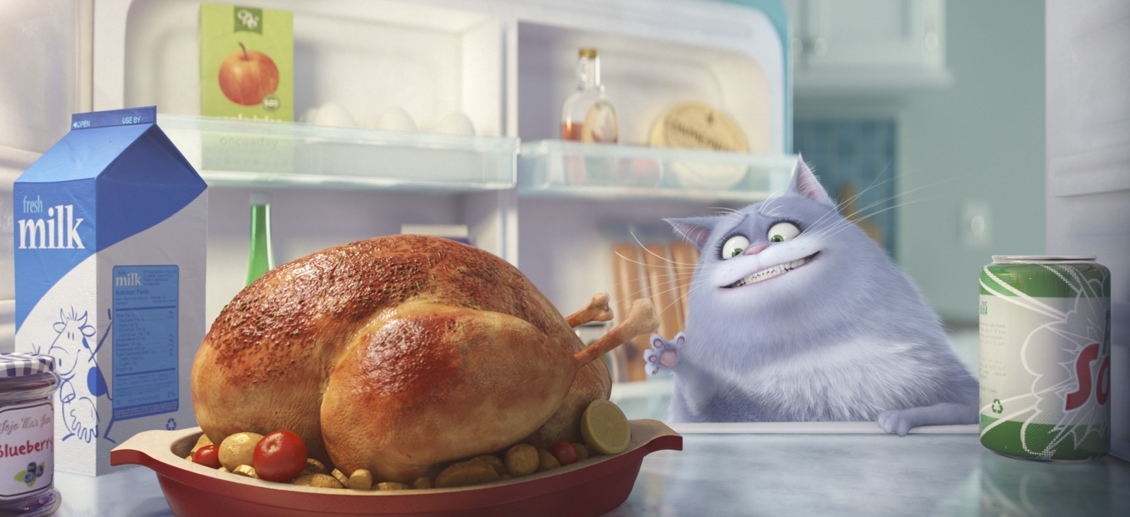 pet, kitchen, indoors, white meat, no people, hunger, gray, Chloe, 2K, comedy, meat, celebration, day, cat, official, illustration, chicken, HD Wallpaper