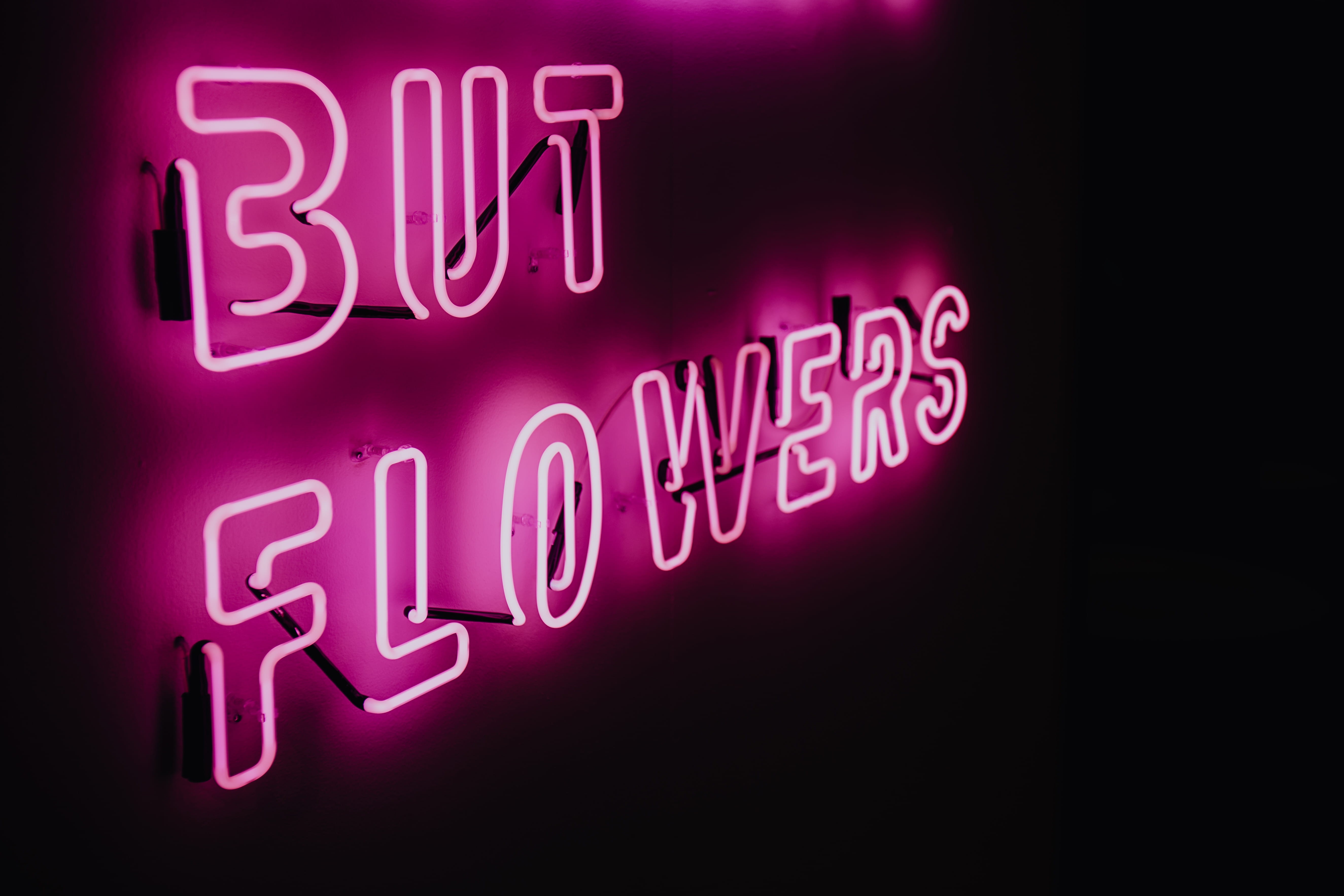 illuminated, flowers, neon colored, purple, glow, lodz design festival, 5K, pink, lighting equipment, pink color, store, ŁDF, communication, black background, HD Wallpaper