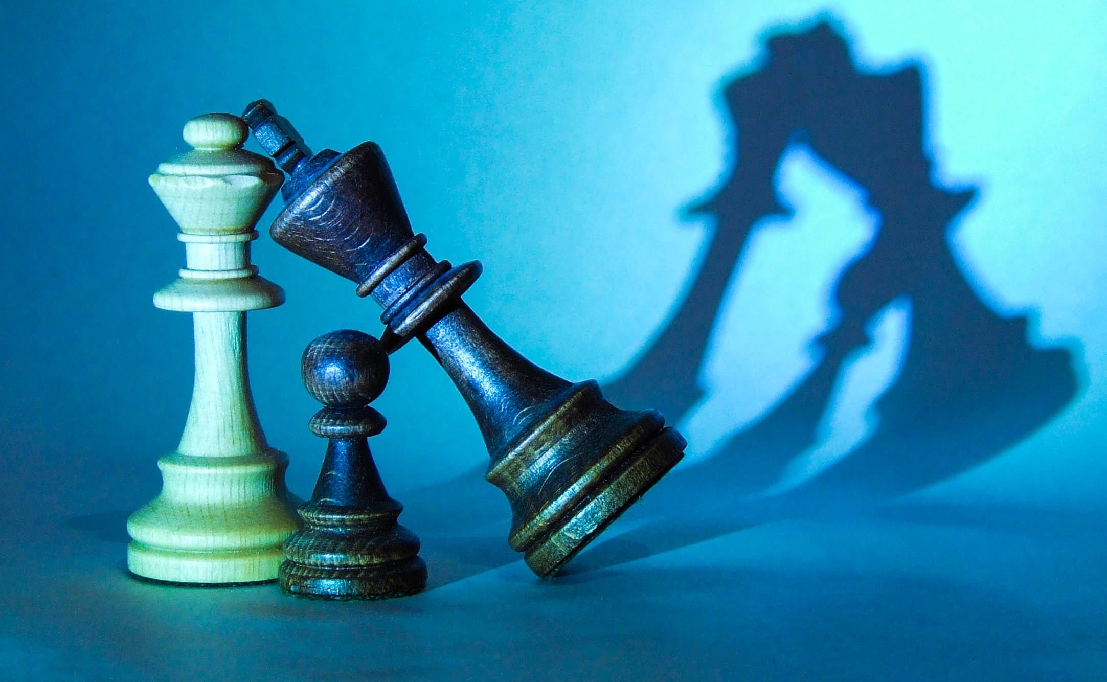 leadership, queen - chess piece, competition, knight - chess piece, defeat, chess, board game, leisure games, blue background, pawn - chess piece, studio shot, HD Wallpaper