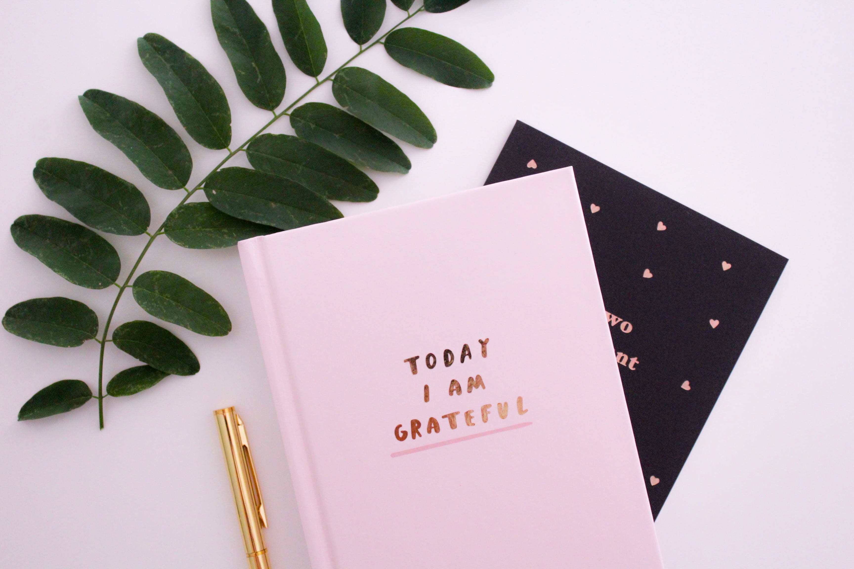 grateful, journal, today, leaf, girly, close-up, communication, still life, no people, pen, publication, plant, melbourne, high angle view, book, gratitude, HD Wallpaper