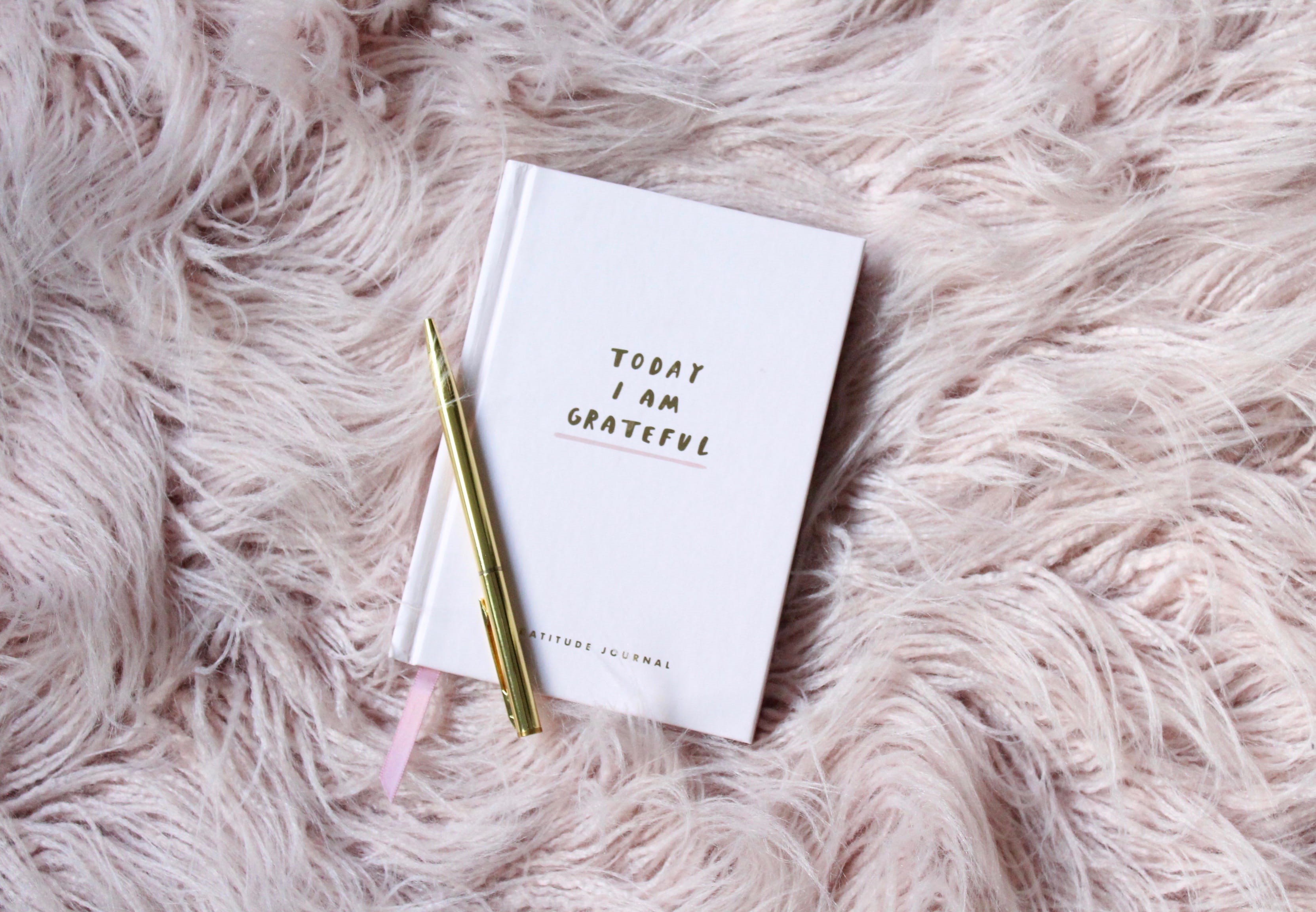 no people, high angle view, hair, pink theme, book, furry, journal, white color, fur, directly above, still life, novel, carnation, pink, rug, booj, indoors, HD Wallpaper