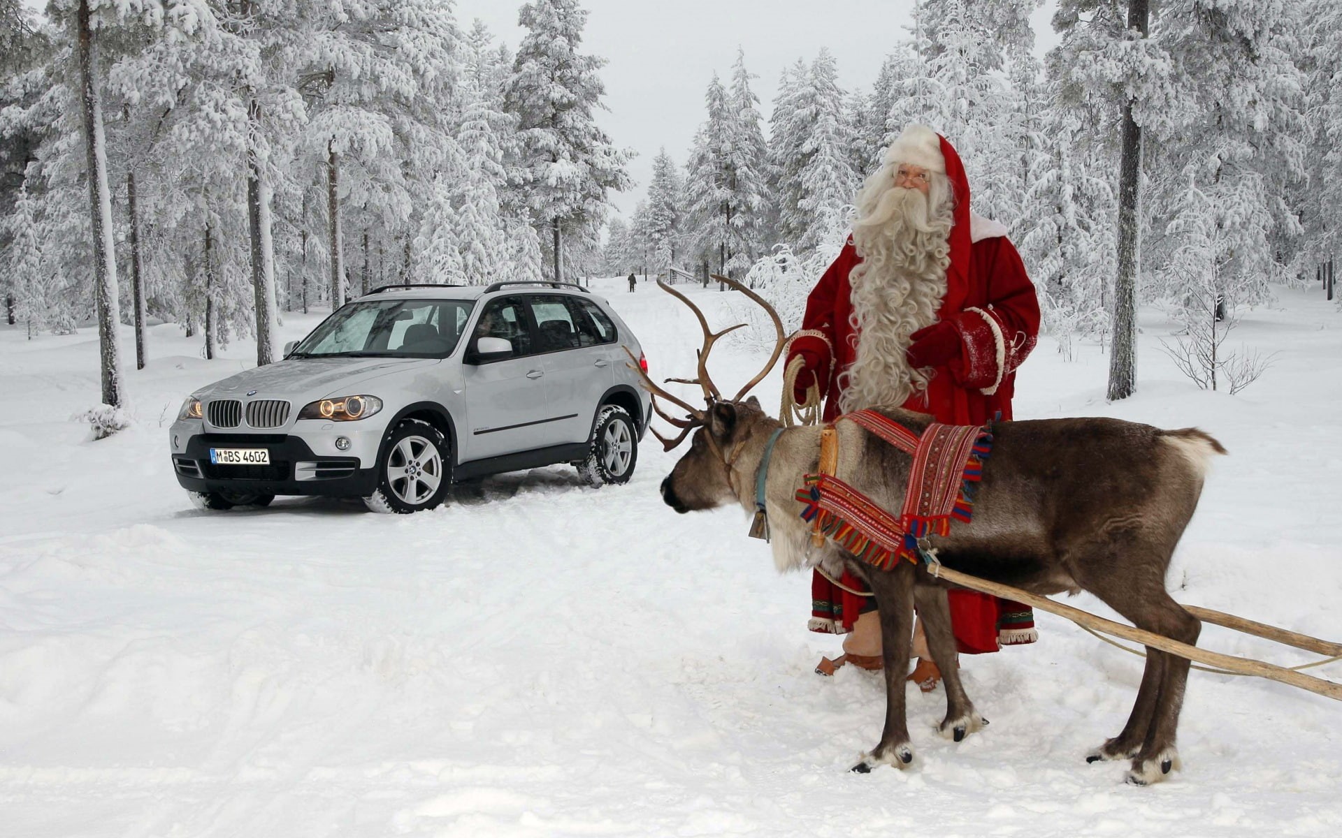 forest, BMW, Christmas, 1080P, art, Landscape, hd, magic, nature, cars, want, HD Wallpaper