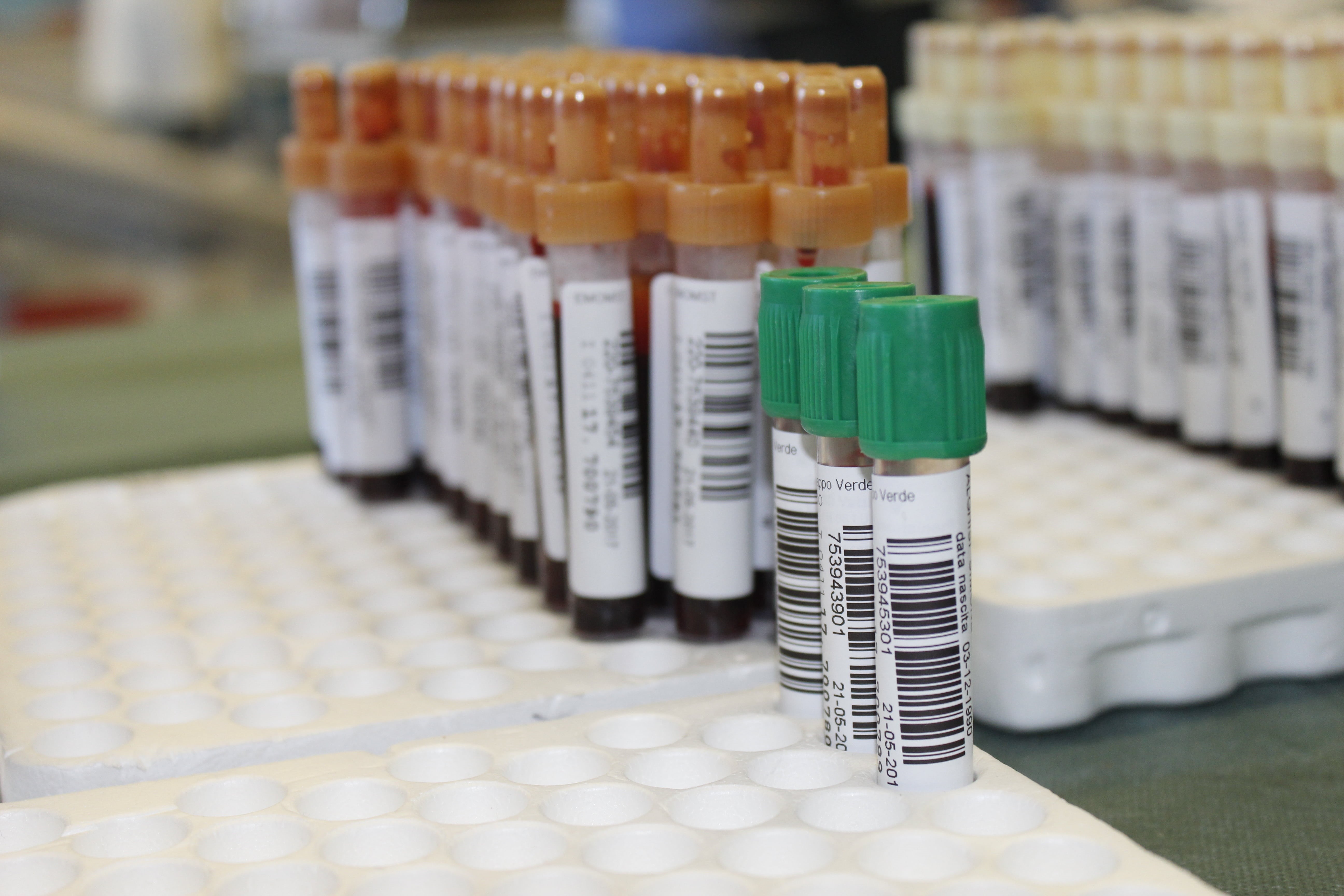 focus on foreground, indoors, withdrawal, blood, donors, test tube, doctor, close-up, test tube rack, biology, italy, large group of objects, science and technology, HD Wallpaper