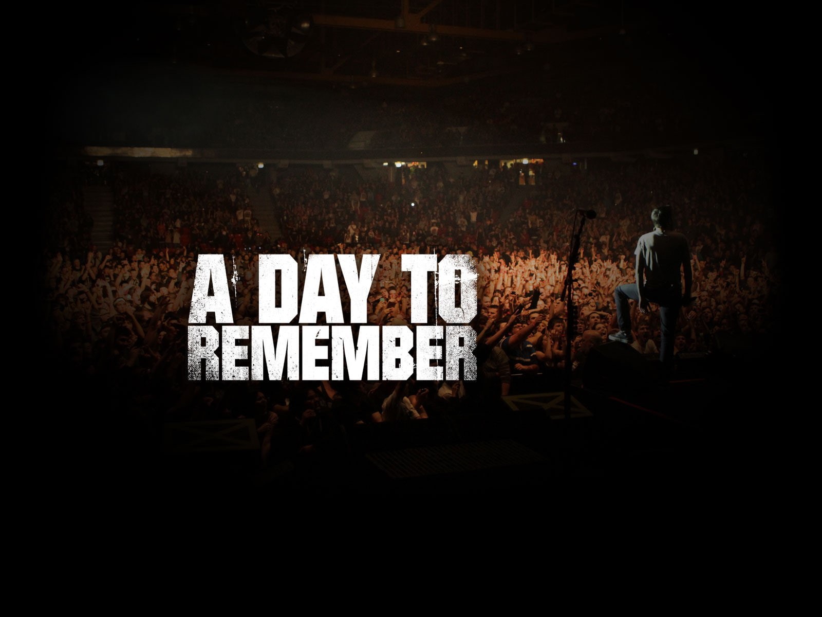 720P, audience, day, music, man, a day to remember, concert, remember, HD Wallpaper