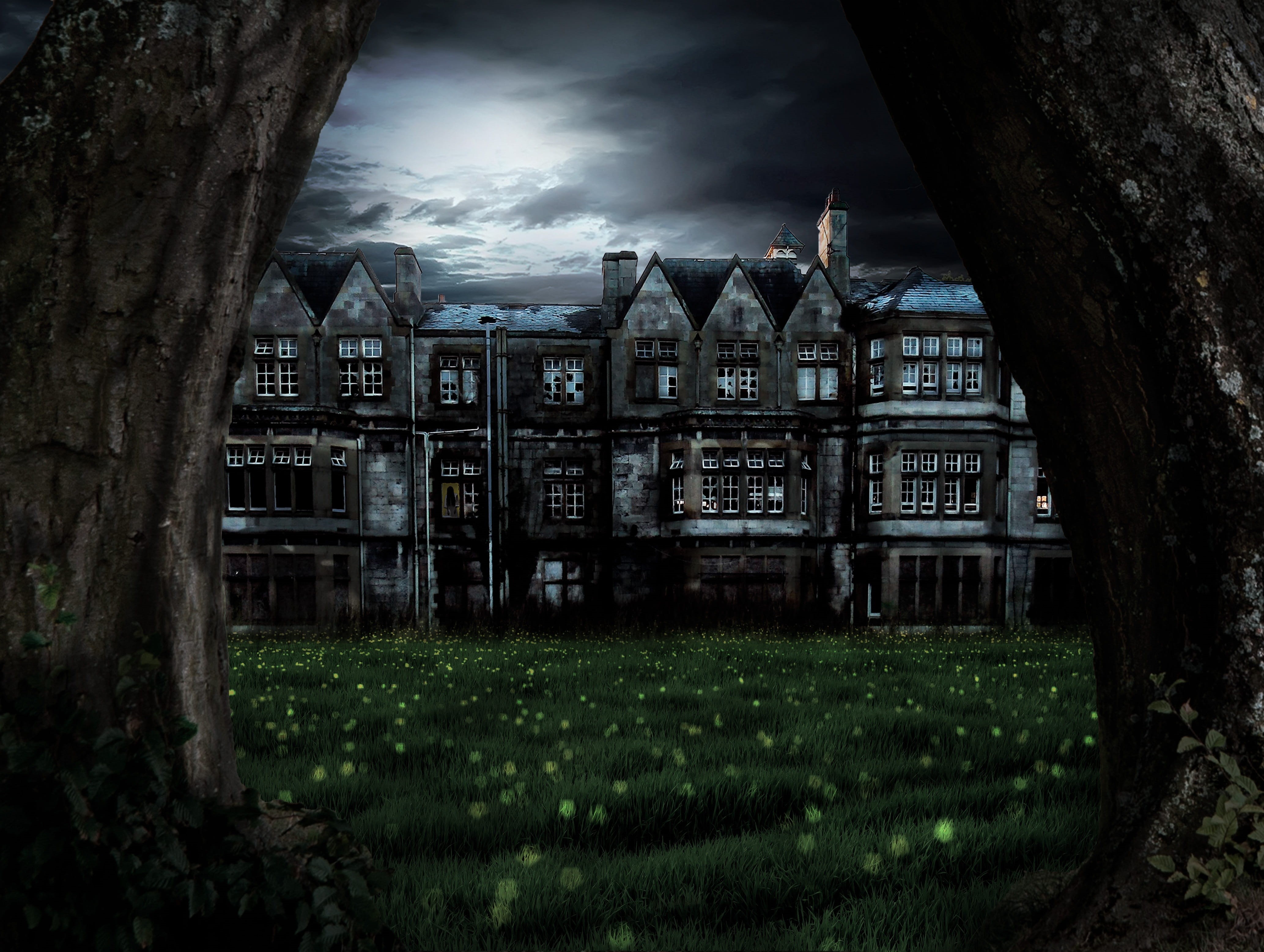 fear, insane asylum, ruined, building exterior, tree trunk, architecture, grass, day, abandoned, filmed by, woman, plant, field, emotions, land, no people, HD Wallpaper