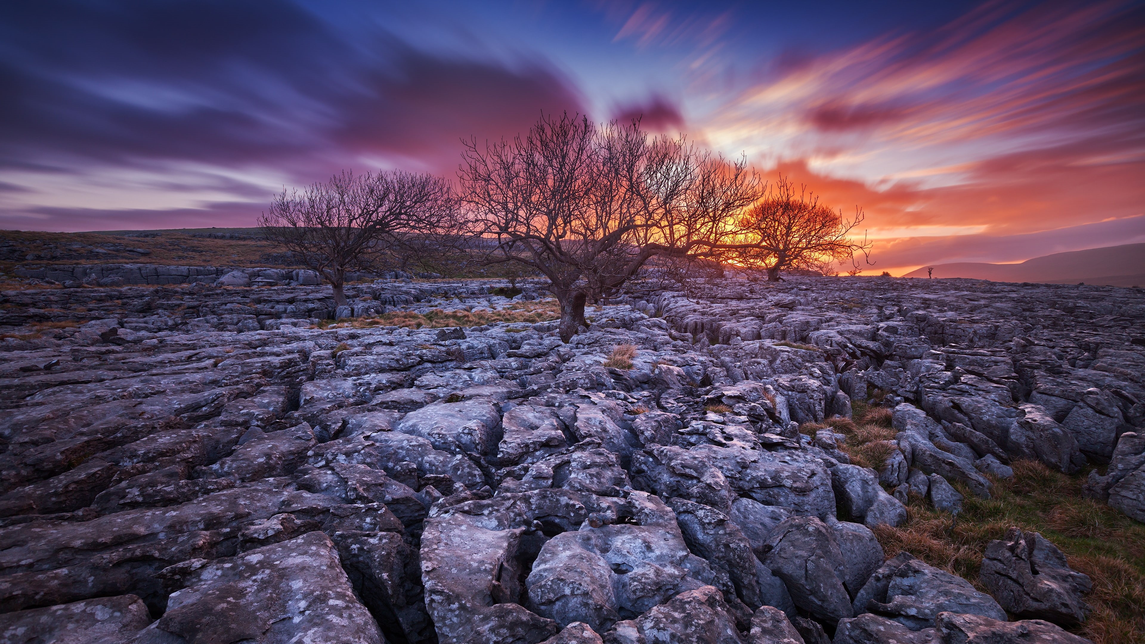 tree, insane, sky, landscape, rocks, sunset, 4K, HD Wallpaper