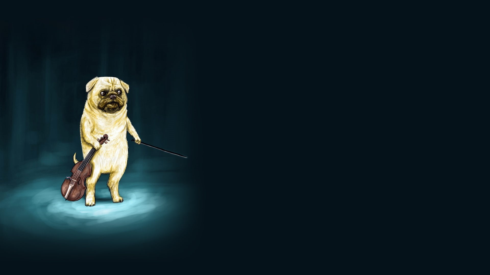 violin, dogs, 1080P, funny, wtf, dog, drawing, humor, music, HD Wallpaper