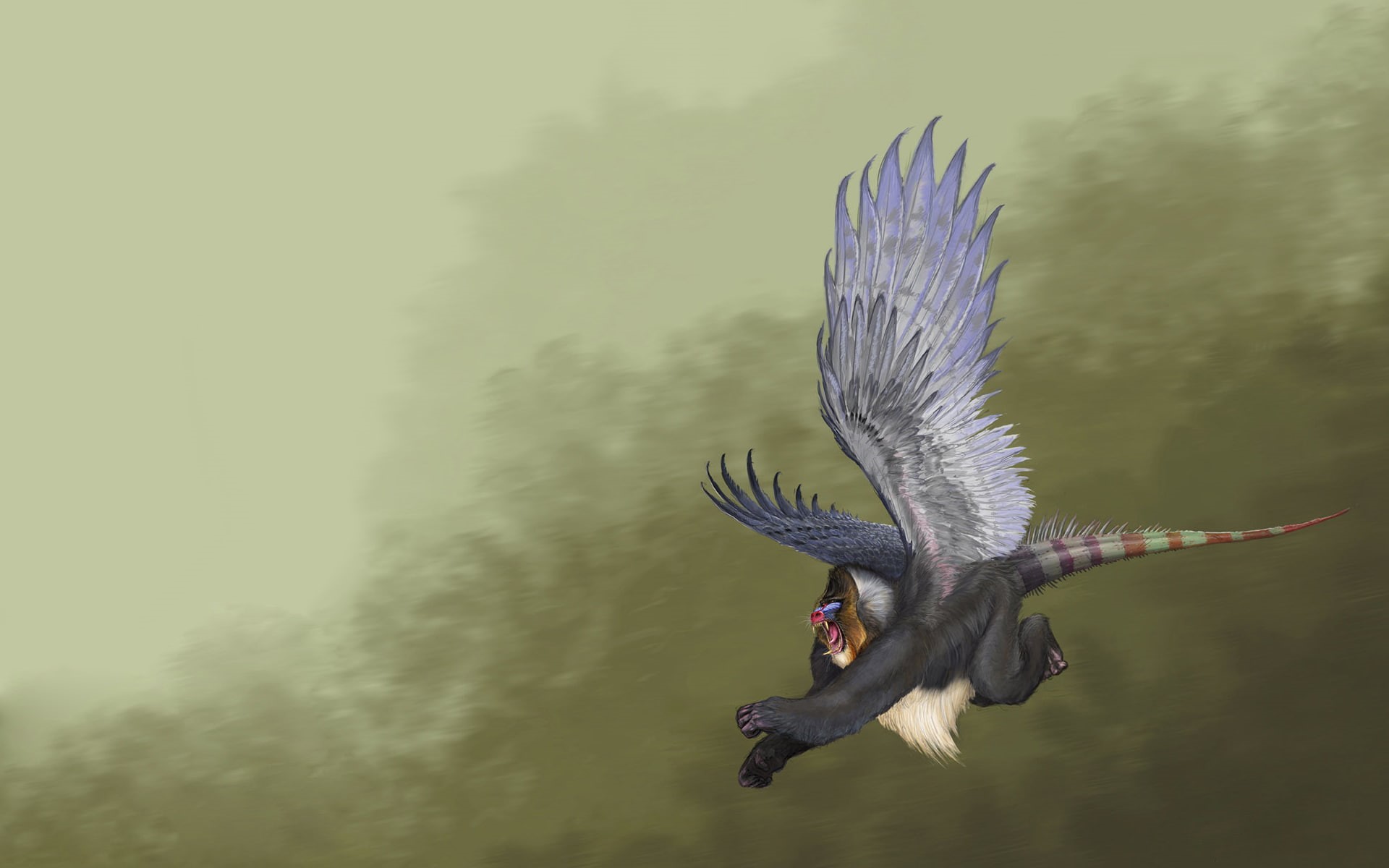baboon, gray, digital/artwork, wtf, lizard, gorilla, edited, tail, wing, eagle, photo, 1080P, lizzard, hd, drawing, HD Wallpaper