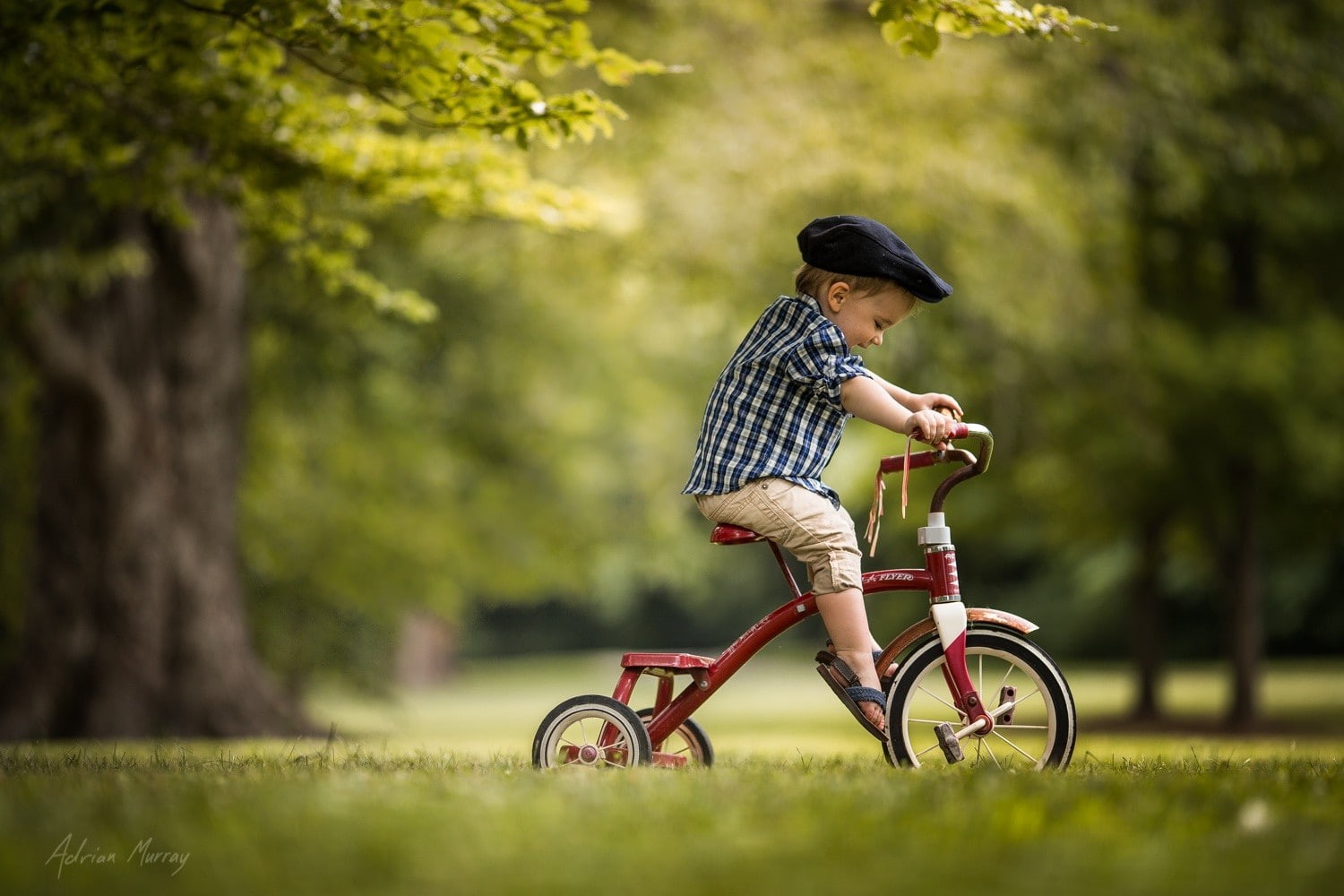 720P, childhood, leisure activity, transportation, children, riding, tree, boys, casual clothing, outdoors, bicycle, child, side view, males, nature, grass, HD Wallpaper