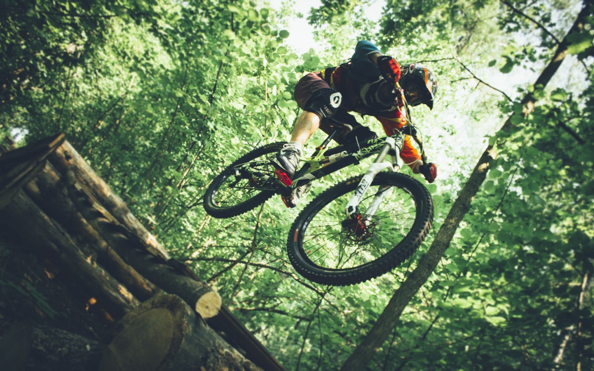 black, land vehicle, 1080P, bicycle, land, ride, one person, vehicle, outdoors, sports, plant, sport , Downhill mountain biking, lifestyles, nature, mountain bikes, HD Wallpaper
