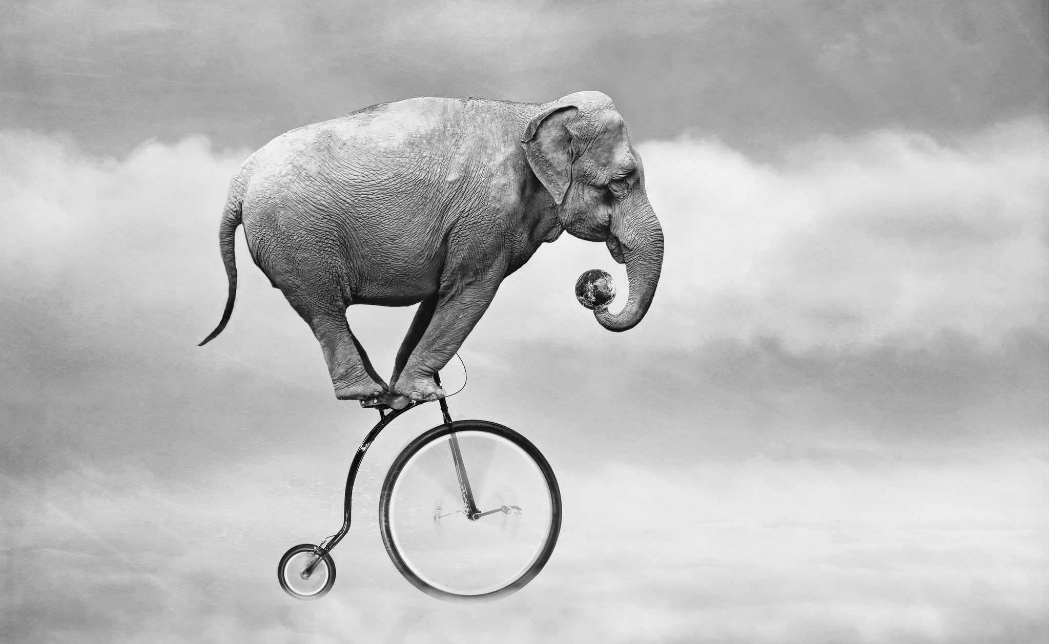 bicycle, sky, 1080P, elephant, HD Wallpaper