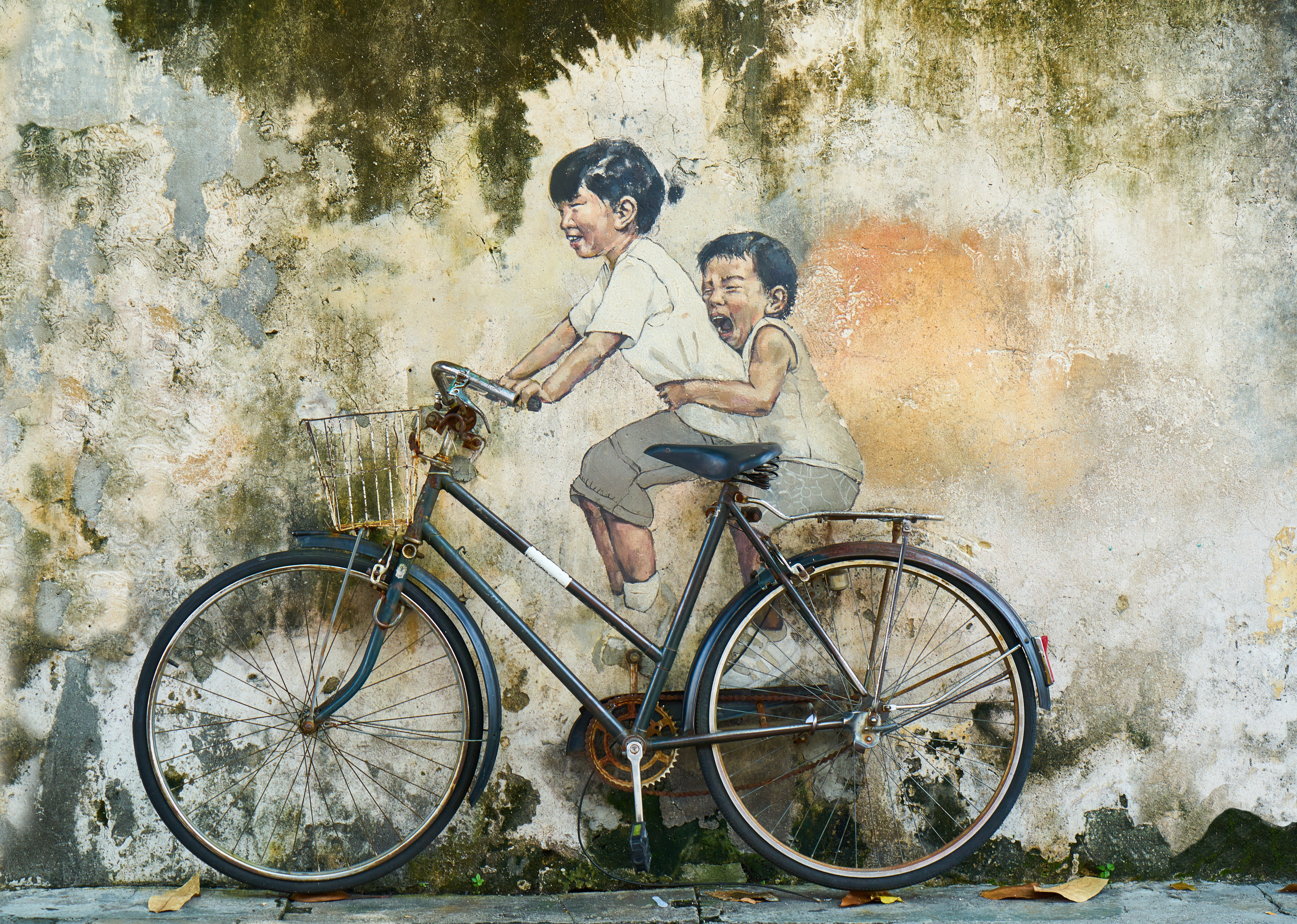 outdoors, offspring, detail, backgrounds, artist, photography, females, malaysia, emotion, teenage boys, mode of transportation, bicycle rides, activity, HD Wallpaper