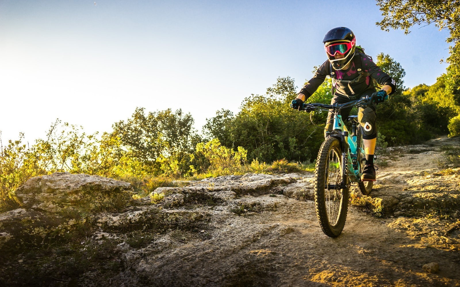helmet, sky, leisure activity, plant, motion, tree, bicycle, riding, mountain bikes, full length, ride, headwear, mode of transportation, sunlight, lifestyles, HD Wallpaper