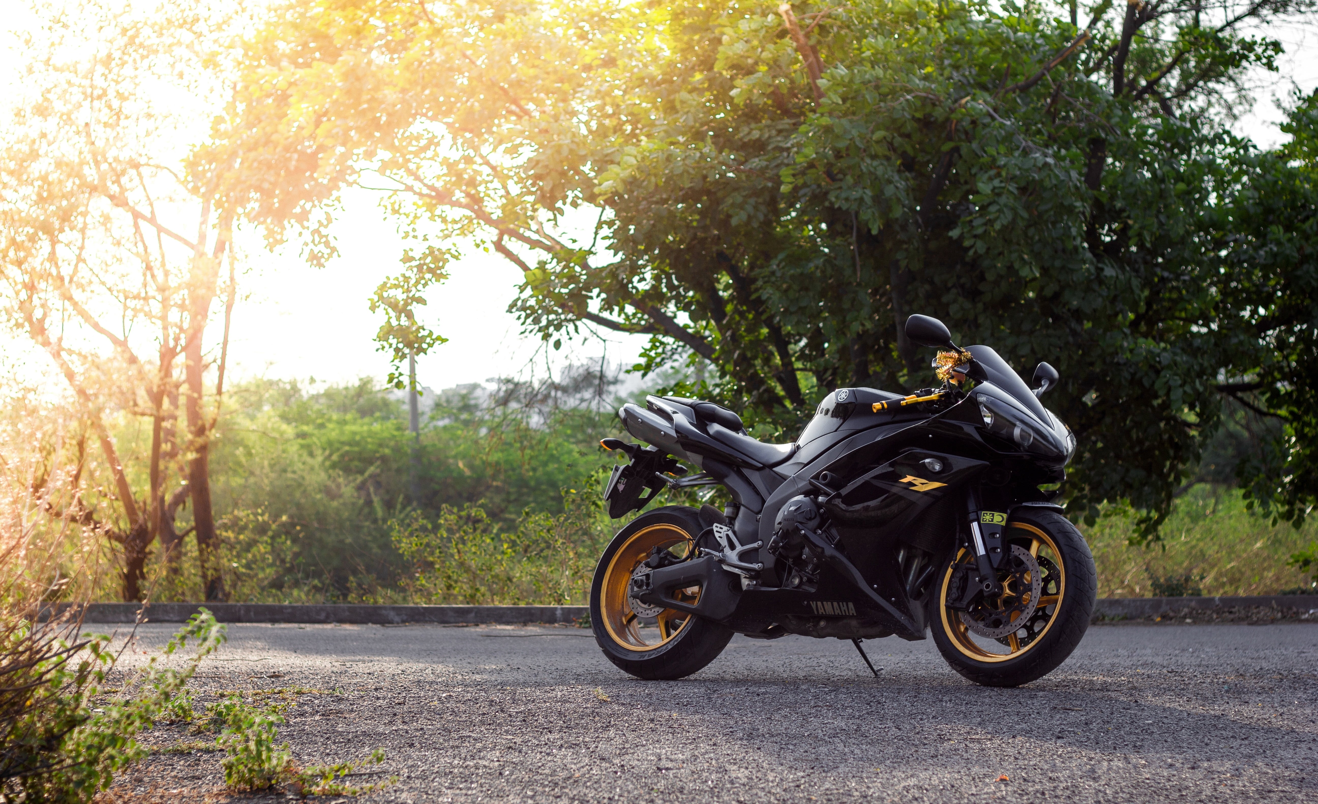 motorcycle Racing, tree, wheel, transportation, bike, day, outdoors, biker, 5K, sports, the sun, action, land Vehicle, yzf-r1, engine, full length, street, HD Wallpaper