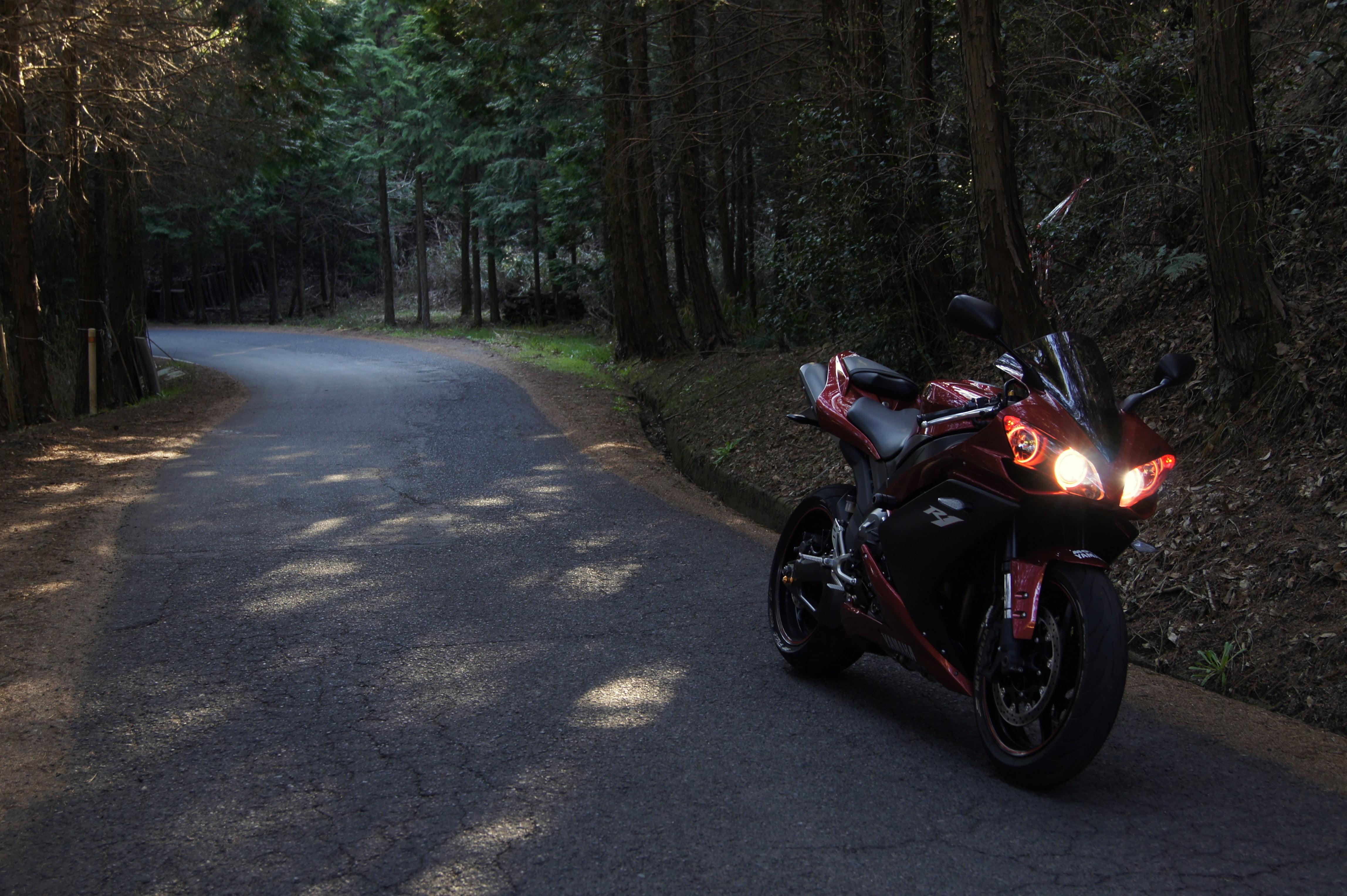 red, cruiser, leisure activity, plant, land Vehicle, crash helmet, forest, motorcycle Racing, ride, land, bike, outdoors, tree, one person, driving, sport, HD Wallpaper