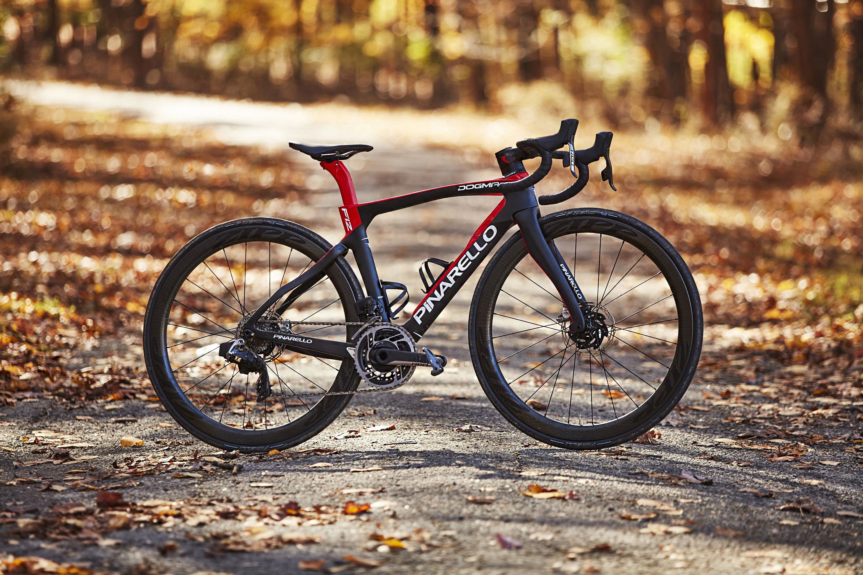 autumn, Sport, Love on the Bike, Carbon, Pinarello Dogma, road, procycling, 2K, bicycle, bike, Pinarello, HD Wallpaper