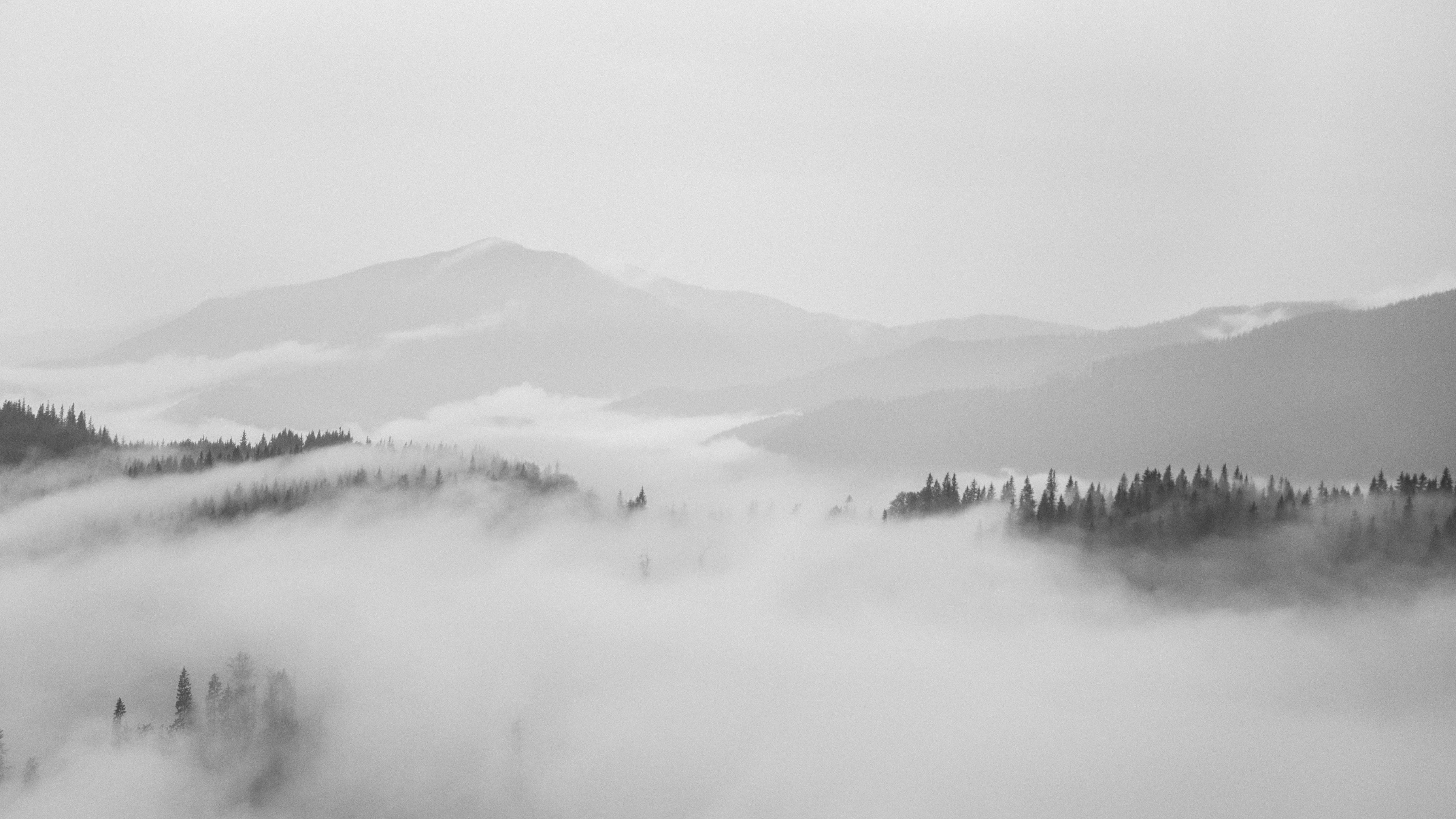 monochrome, no people, blackandwhite, forest, tree, beauty in nature, outdoors, mountain, clear, clean, sky, fog, day, romania, bw, mountain range, panoramic, HD Wallpaper
