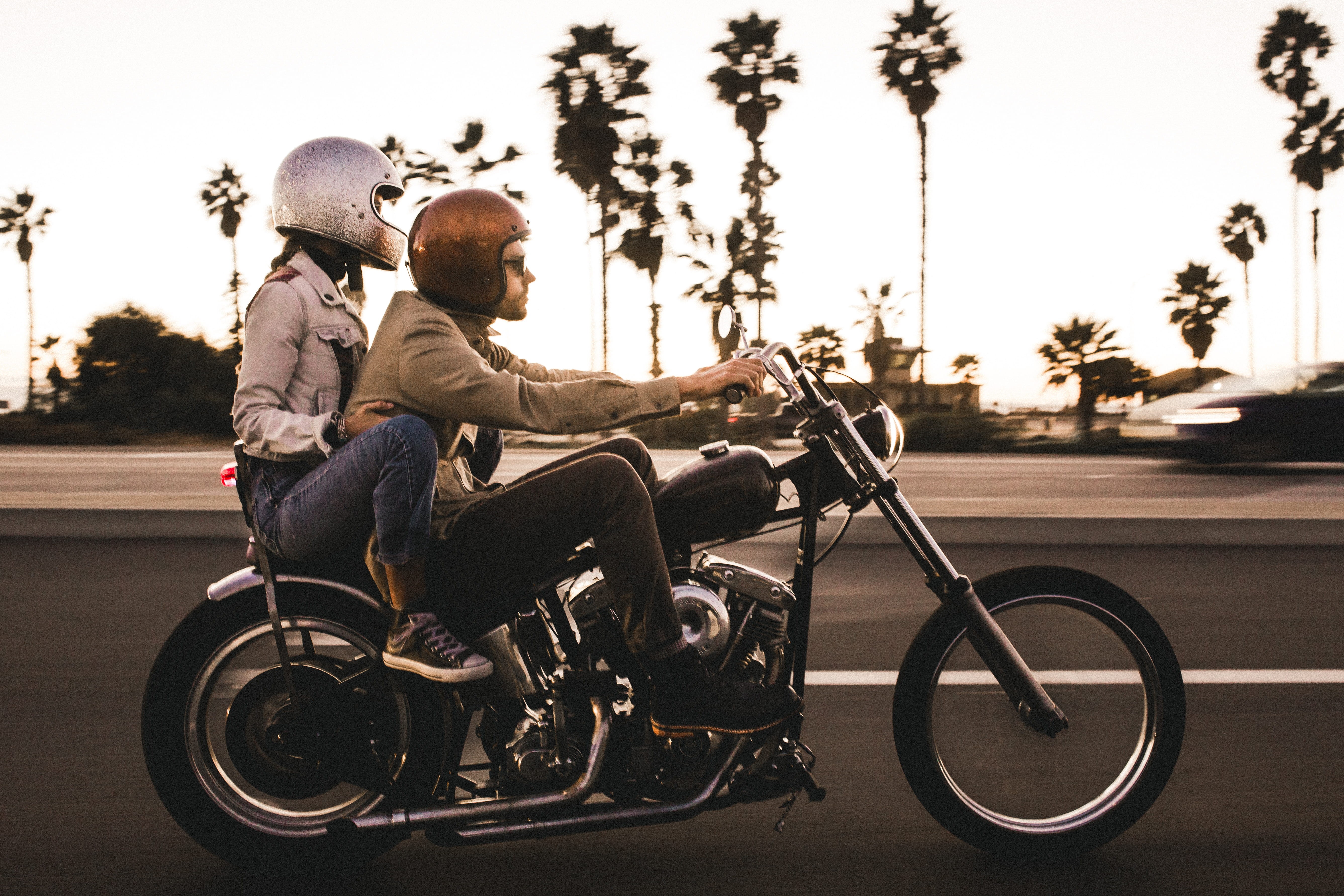 togetherness, black, movement, helmet, palm tree, person, women, harley davidson, day, males, couple, motorcycle, bonding, men, transportation, 5K, fashion, HD Wallpaper